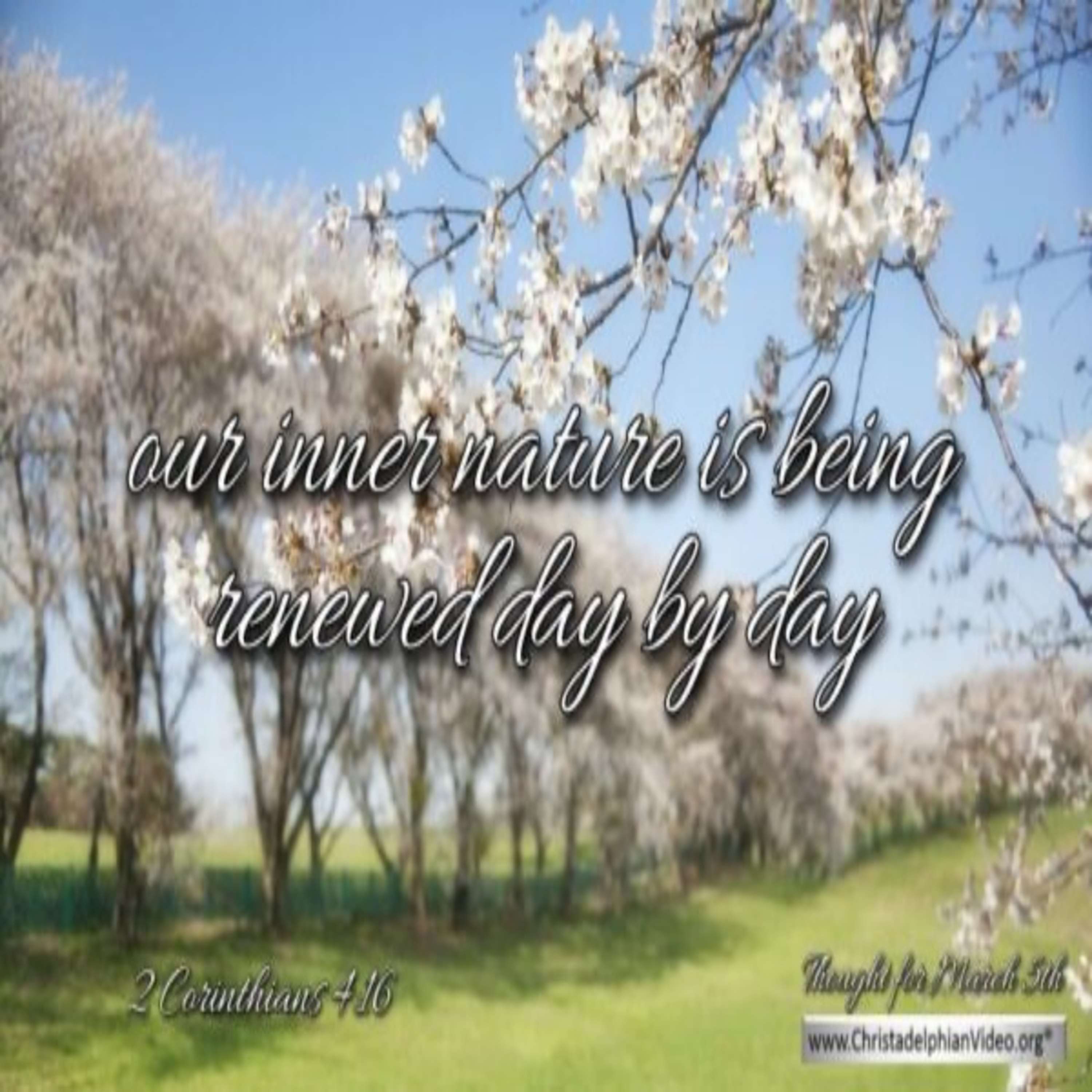 Thought for March 5th. “RENEWED DAY BY DAY … “