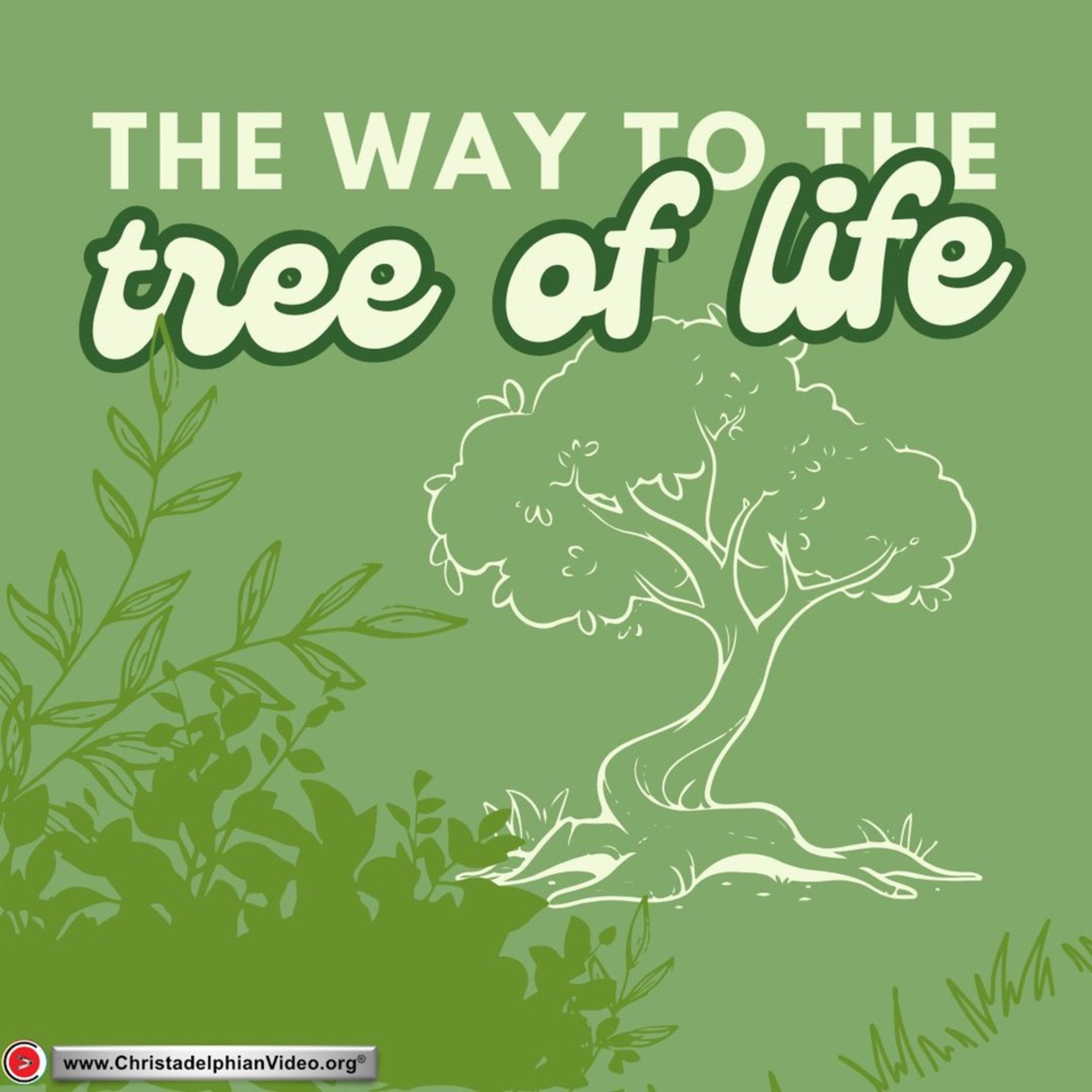 The way to The Tree of Life Bible Study with Jacob Hodge episode artwork