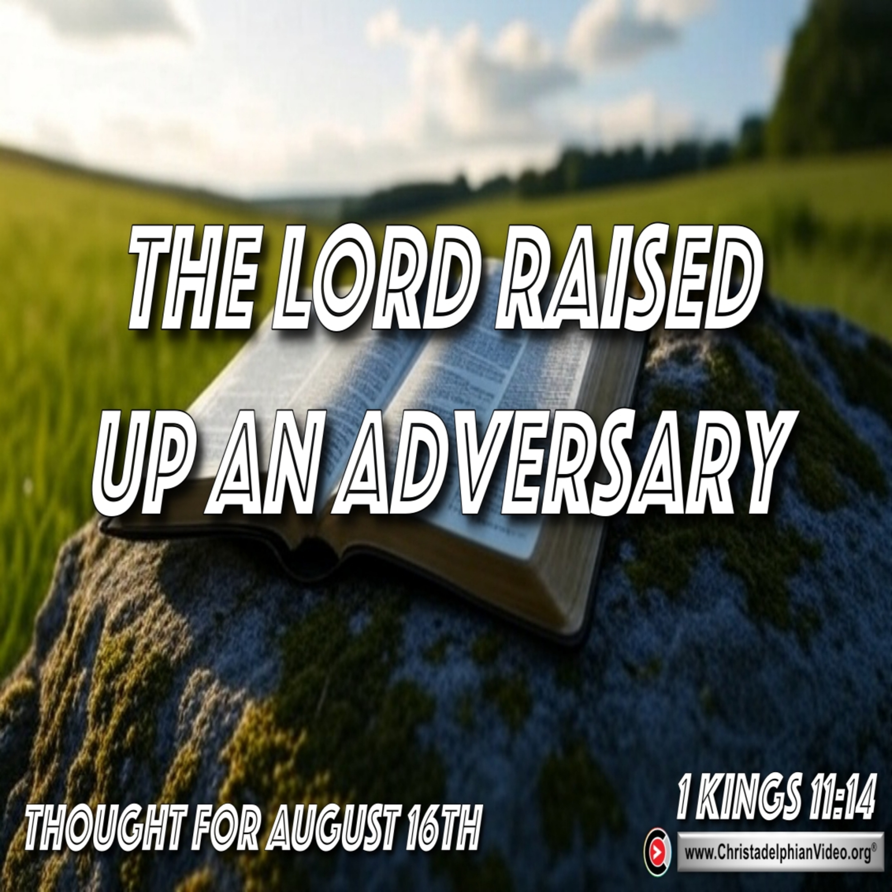 Thoughts on the Bible Readings (1 Kings 12; Jeremiah 38, Mark 12) for Aug 17th. episode artwork
