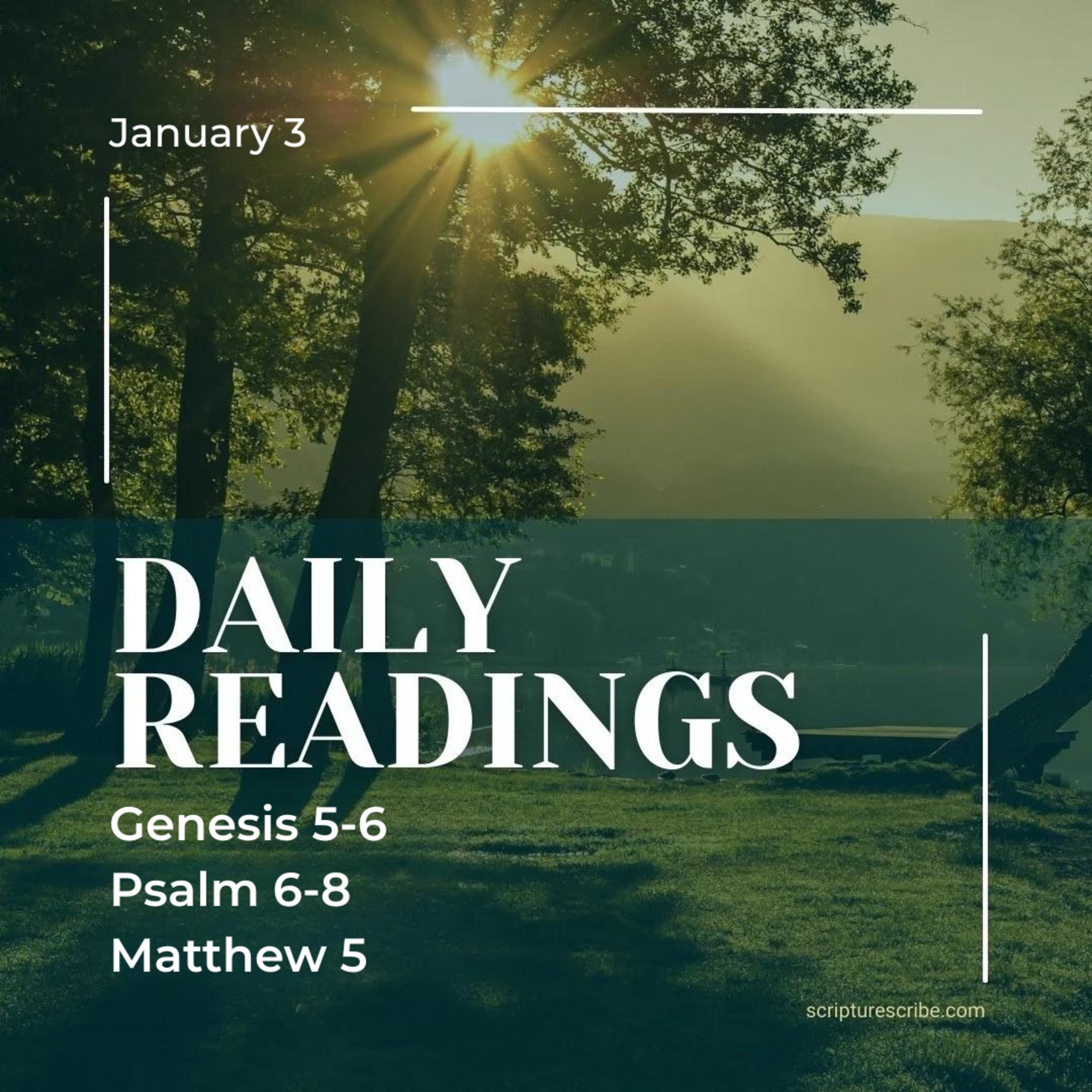 Thoughts on the Bible Readings for January 3rd (Genesis 5, 6; Psalms 6, 7, 8; Matthew 5) episode artwork