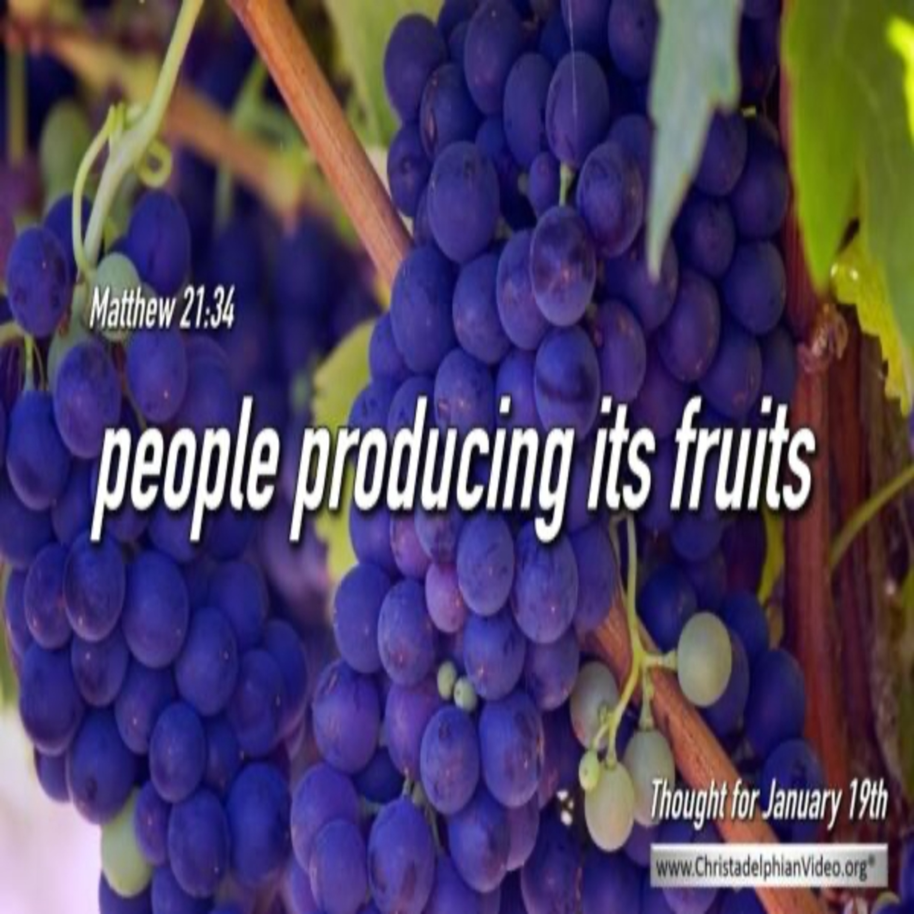 Thought for January 19th. “PEOPLE PRODUCING IT’S FRUITS…” episode artwork