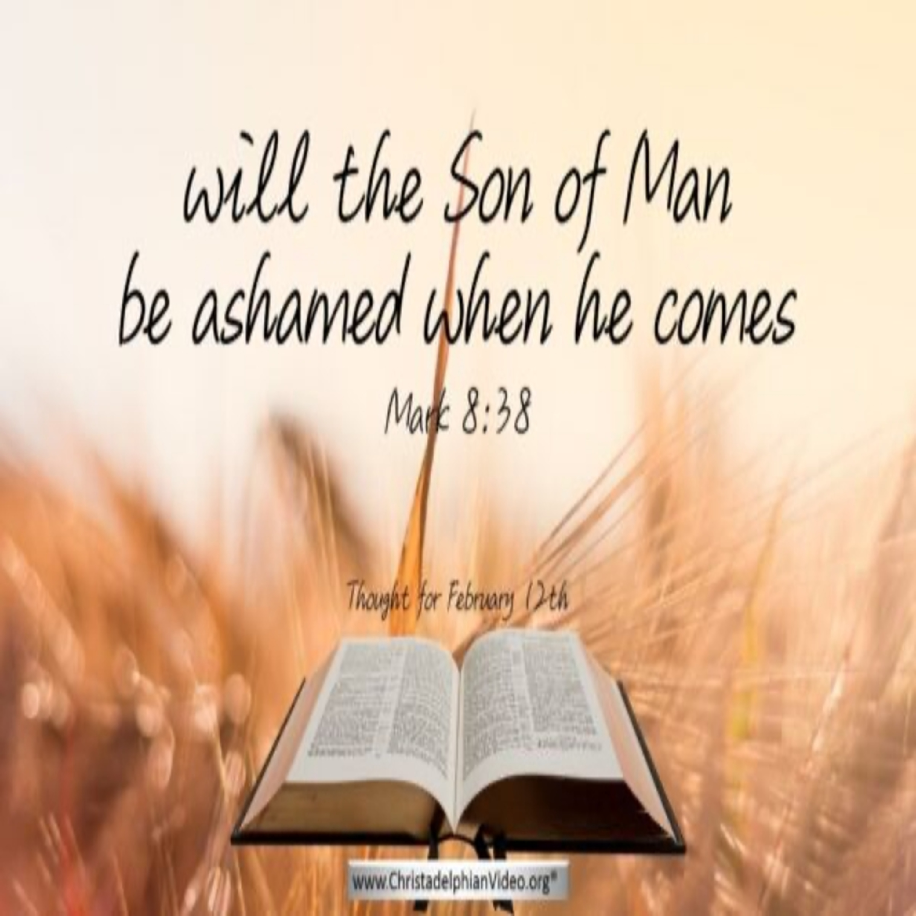 Thought for February 12th. “ … OF HIM WILL THE SON OF MAN BE ASHAMED WHEN HE COMES” episode artwork