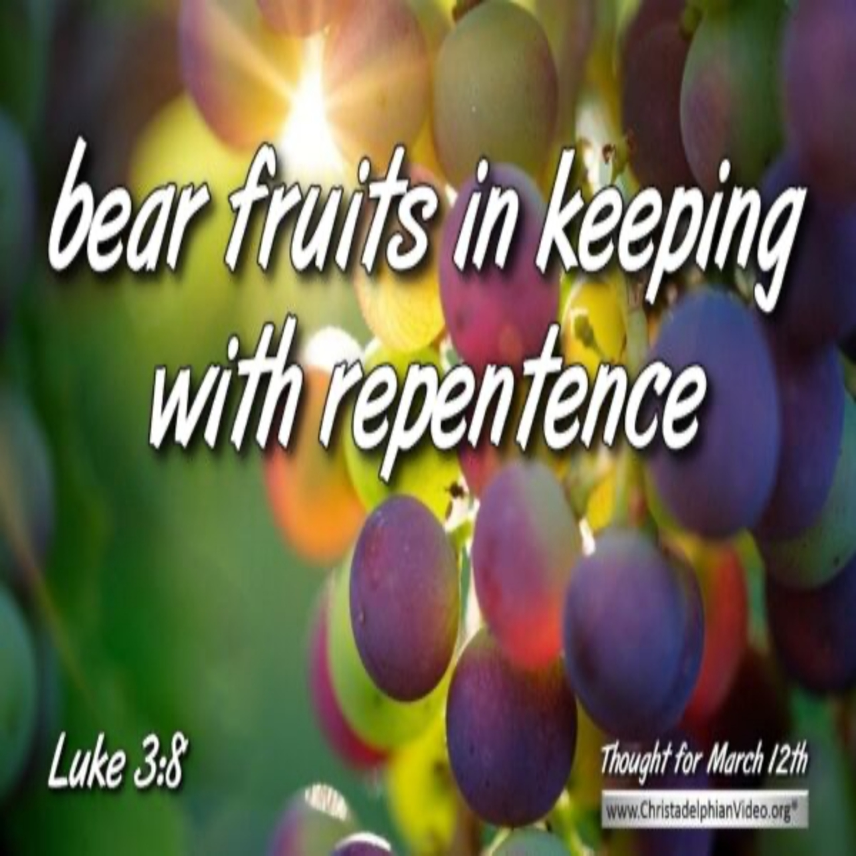 Thought for March 12th. “BEAR FRUITS IN KEEPING WITH … “ episode artwork