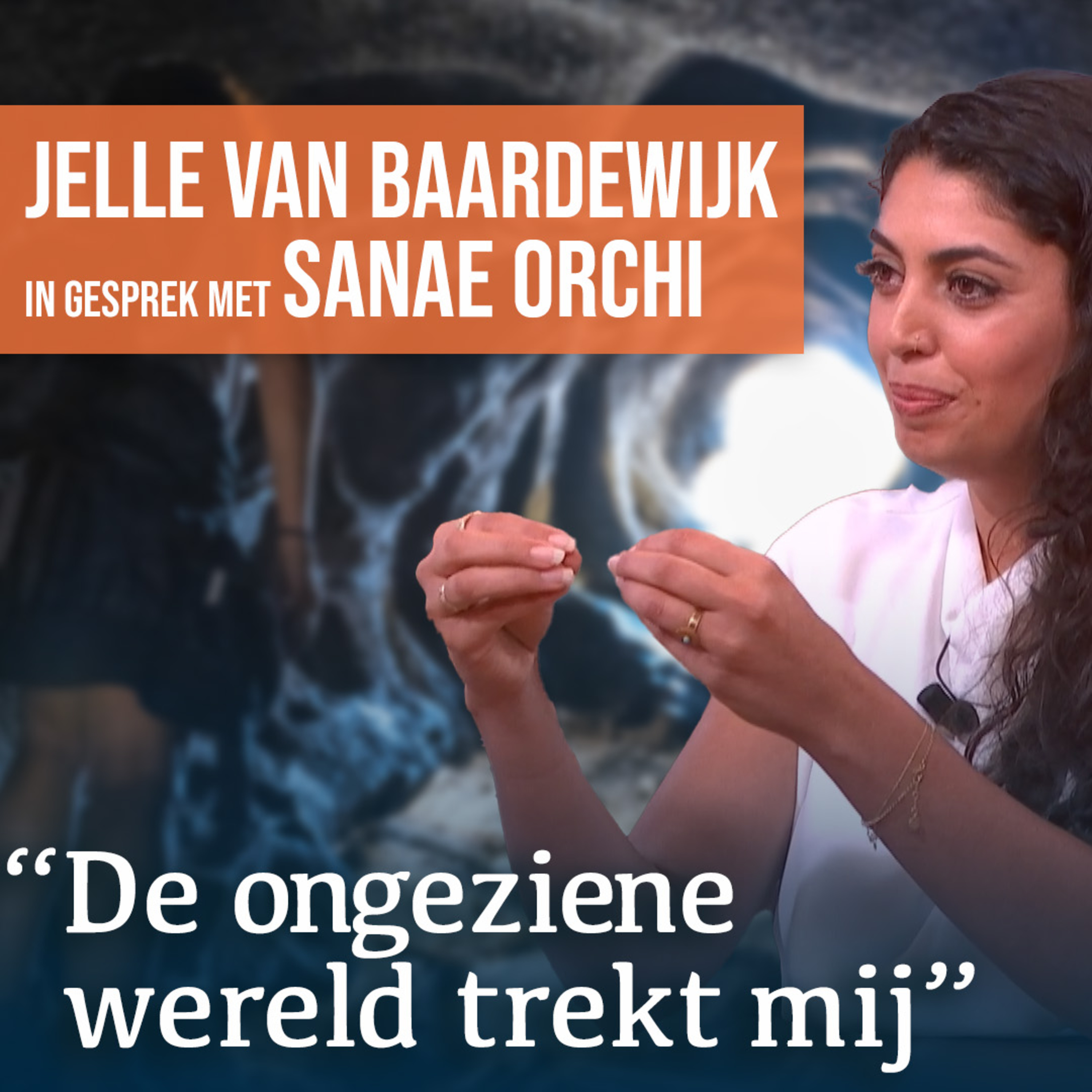 De Nieuwe Wereld