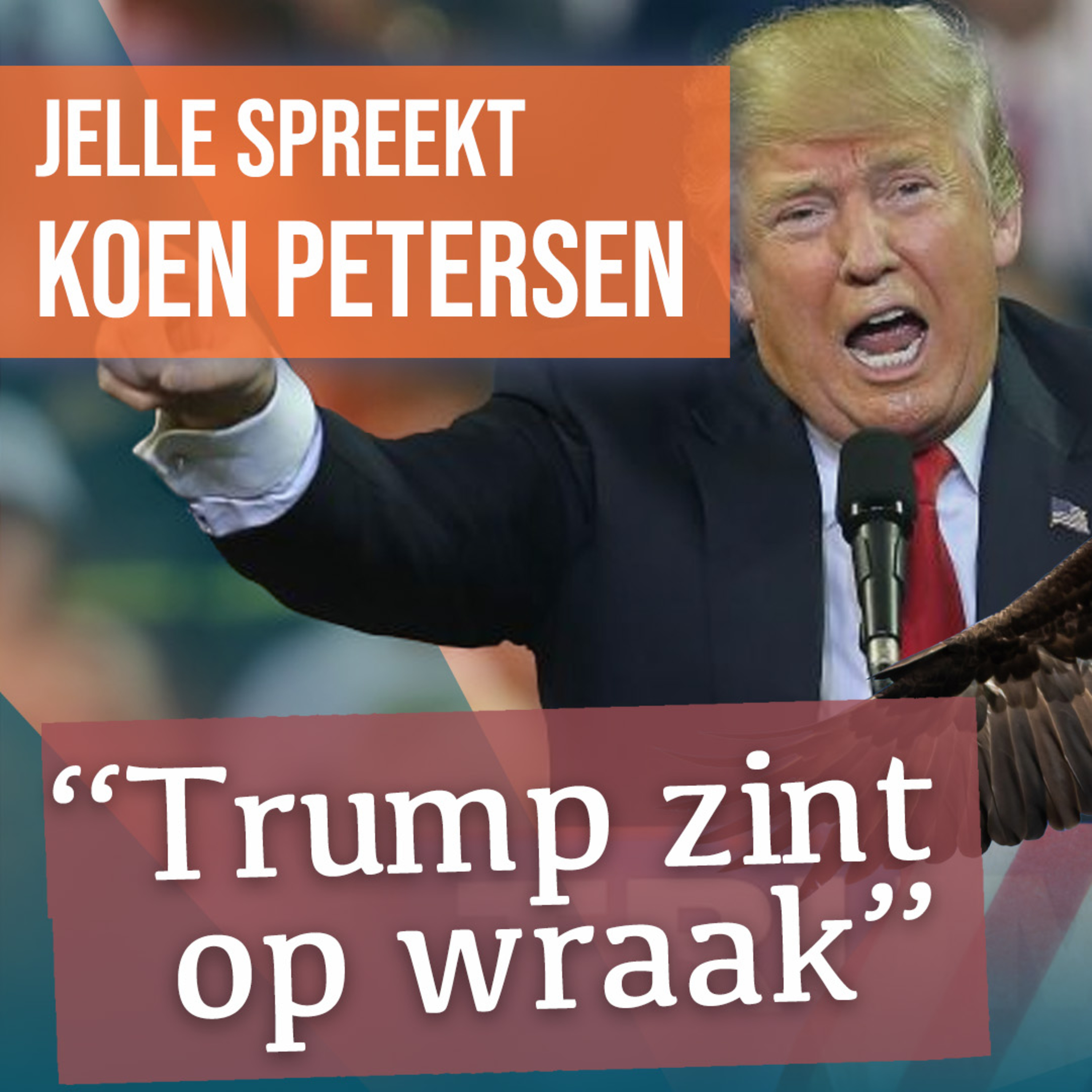 Einddoel Witte Huis: Amerikaanse verkiezingen en de macht van de president | #1743 Koen Petersen