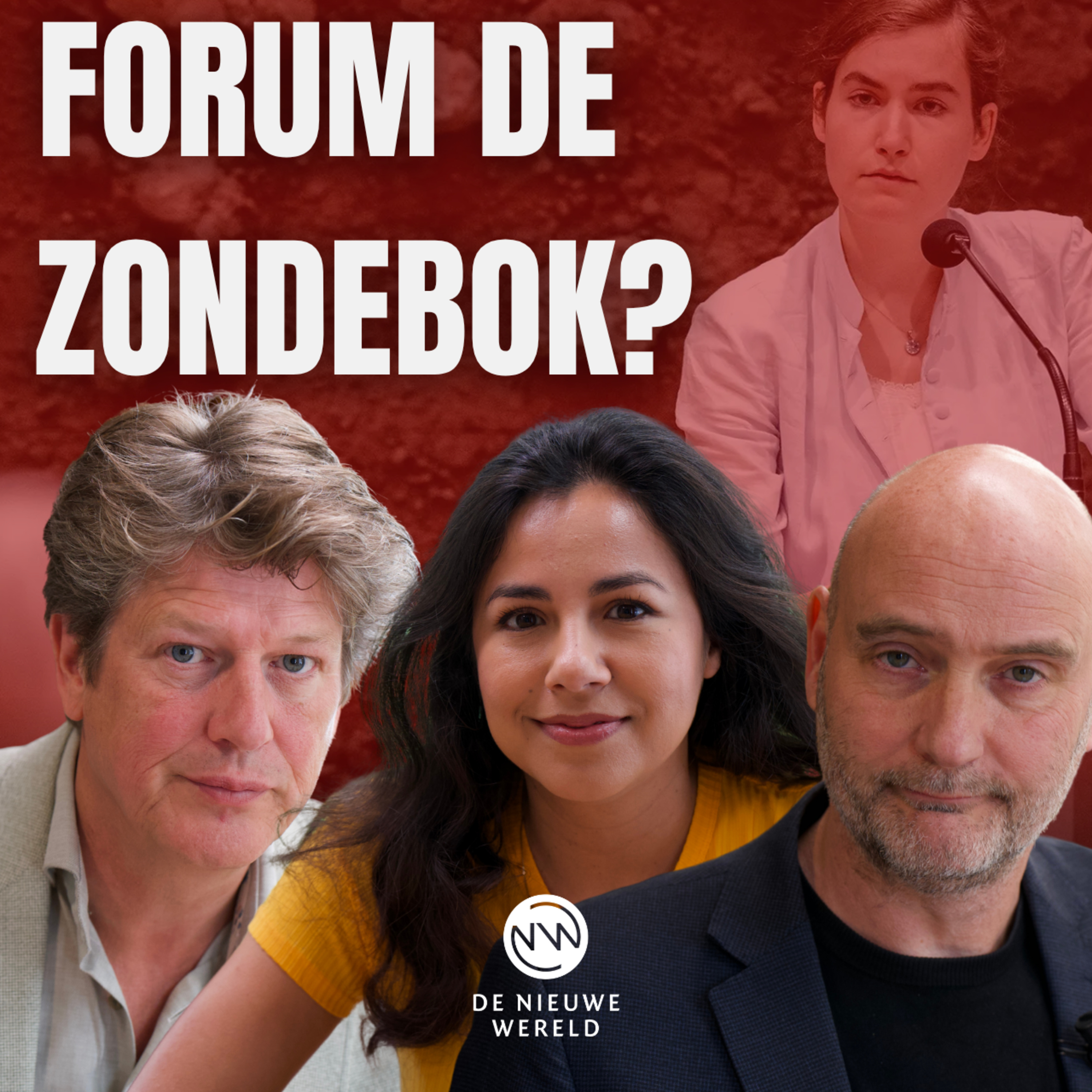 ‘’De Kamer is alleen maar met zichzelf bezig’’ DNW Politiek | #2316