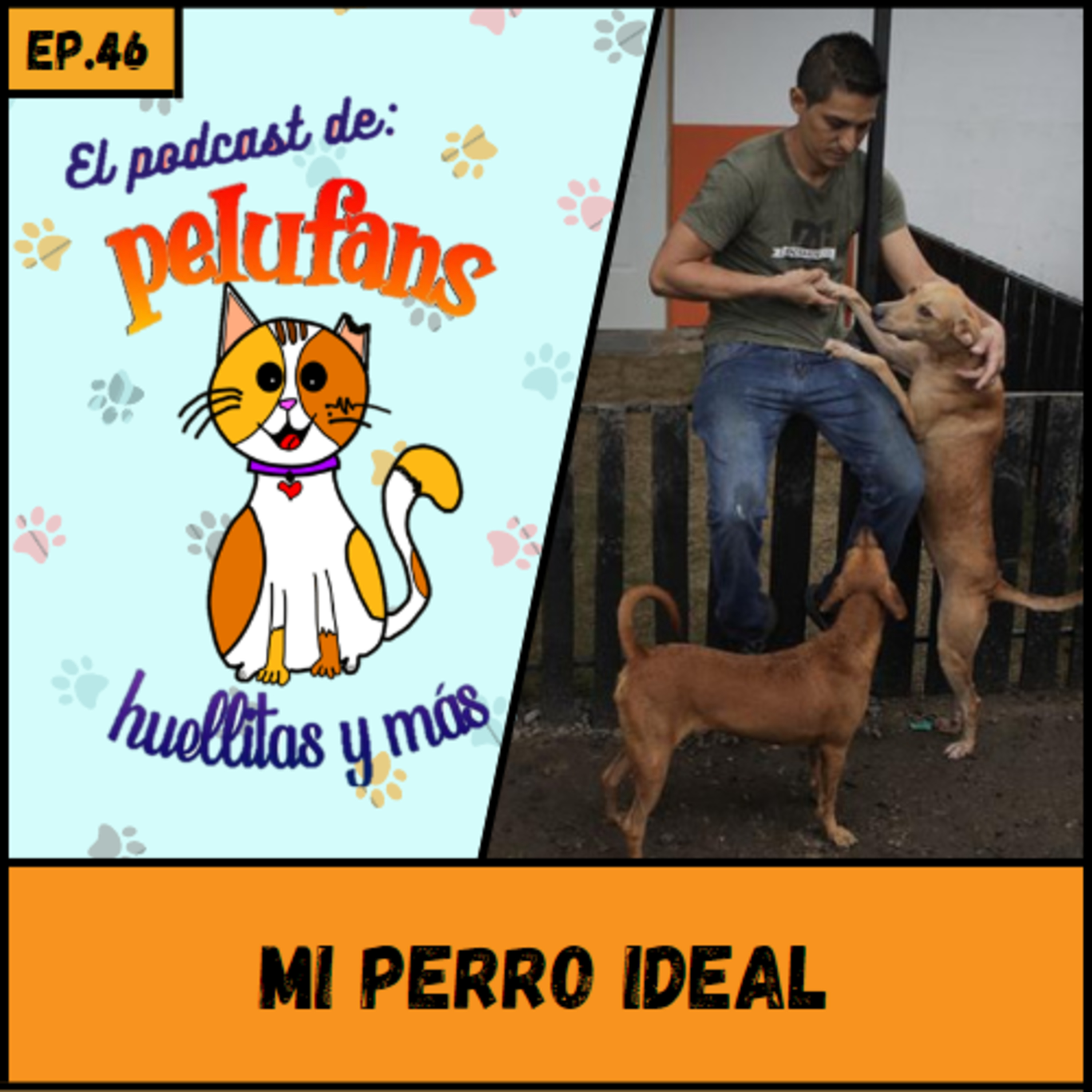 Pelufans, Huellitas Y Más