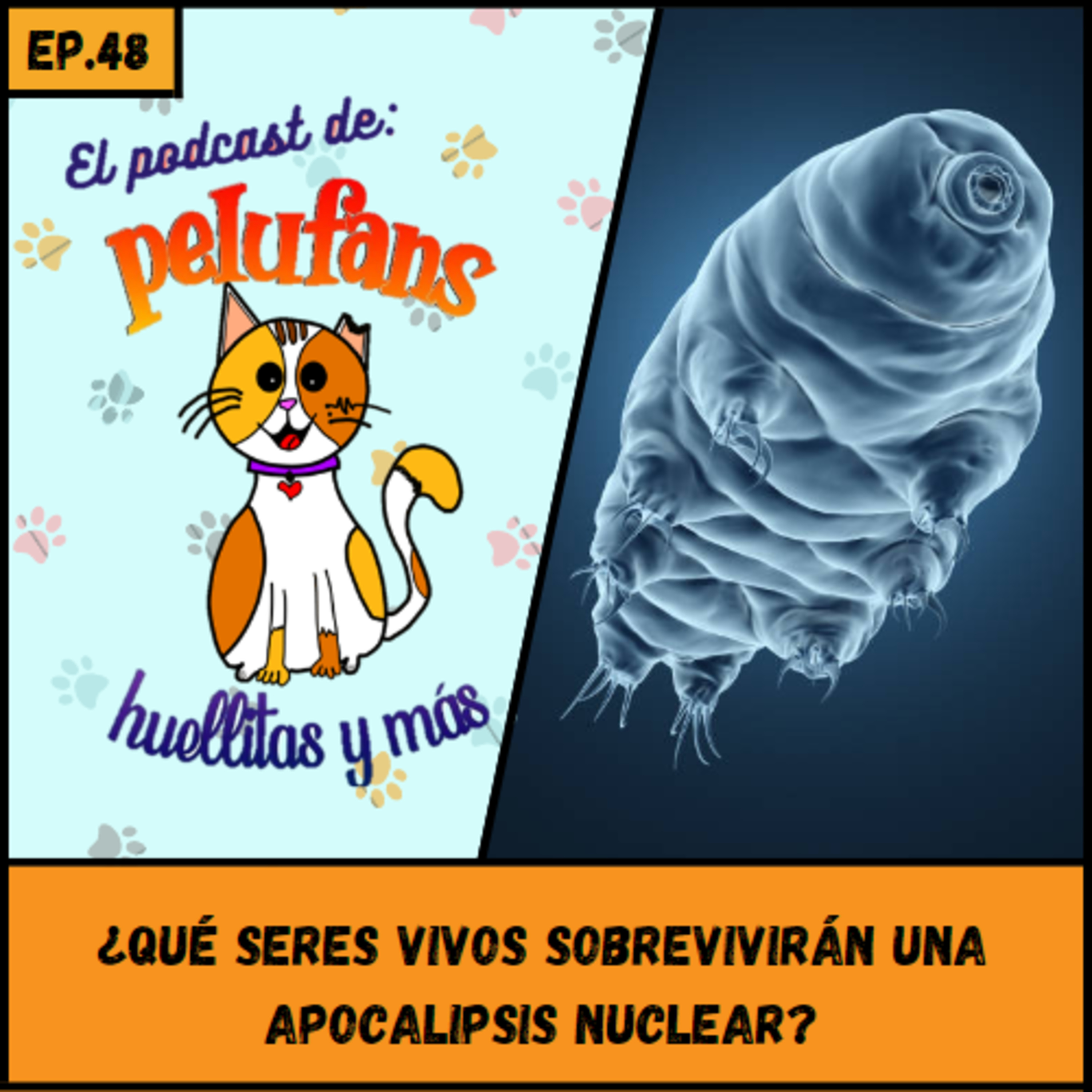 Pelufans, Huellitas Y Más
