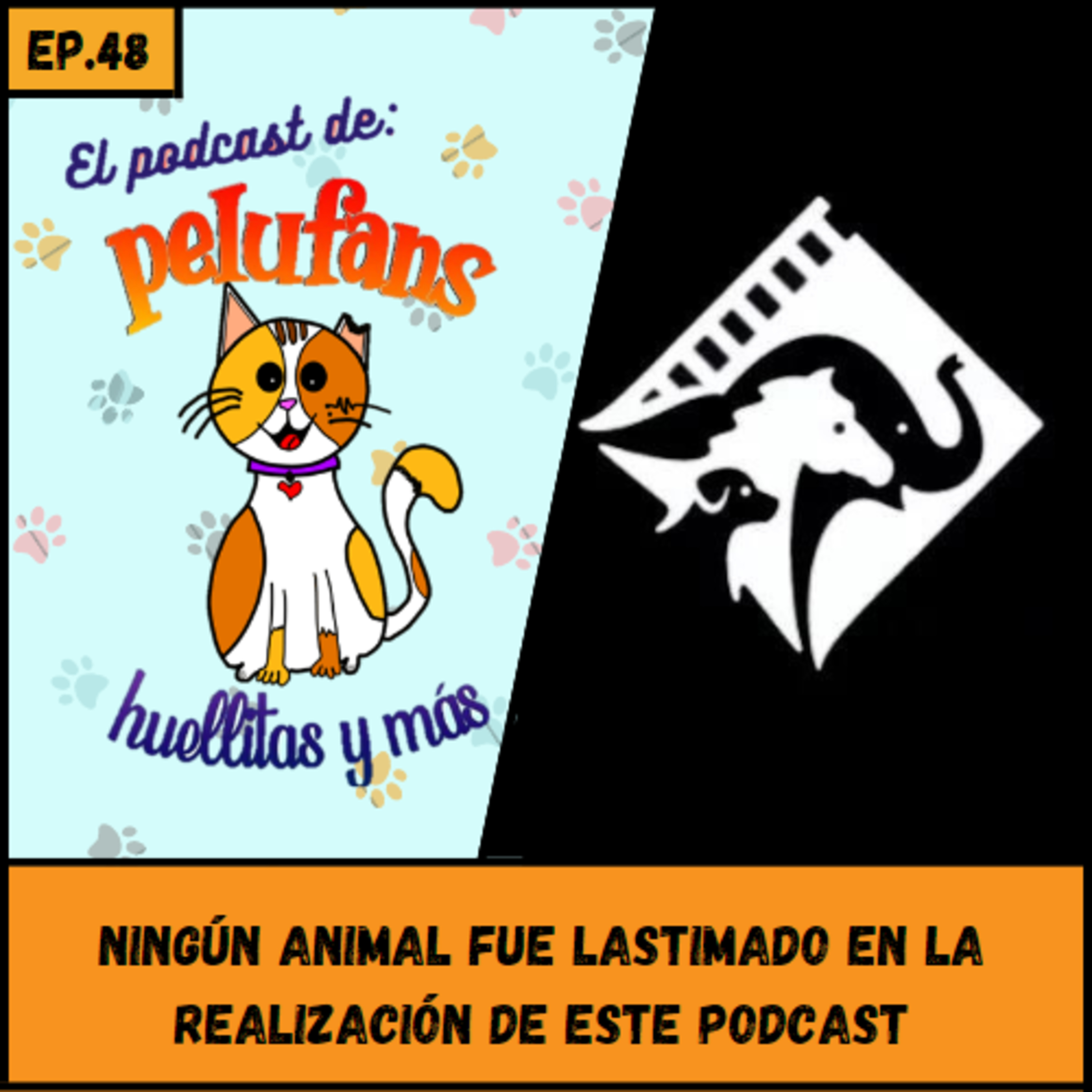 Pelufans, Huellitas Y Más