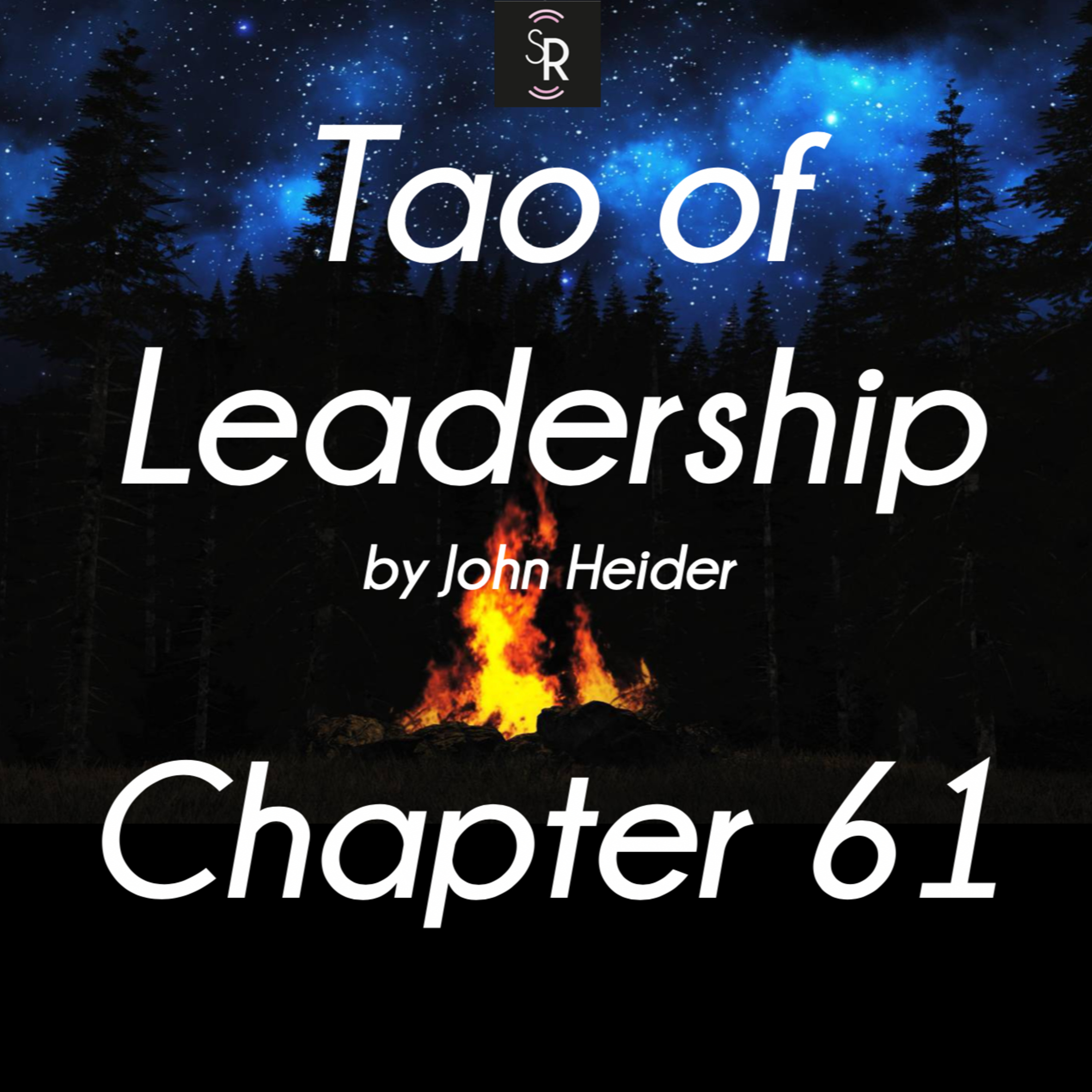 Ch 61 - Tao of Leadership by John Heider - study, commentary and meditation - The Lowly Receptacle episode artwork