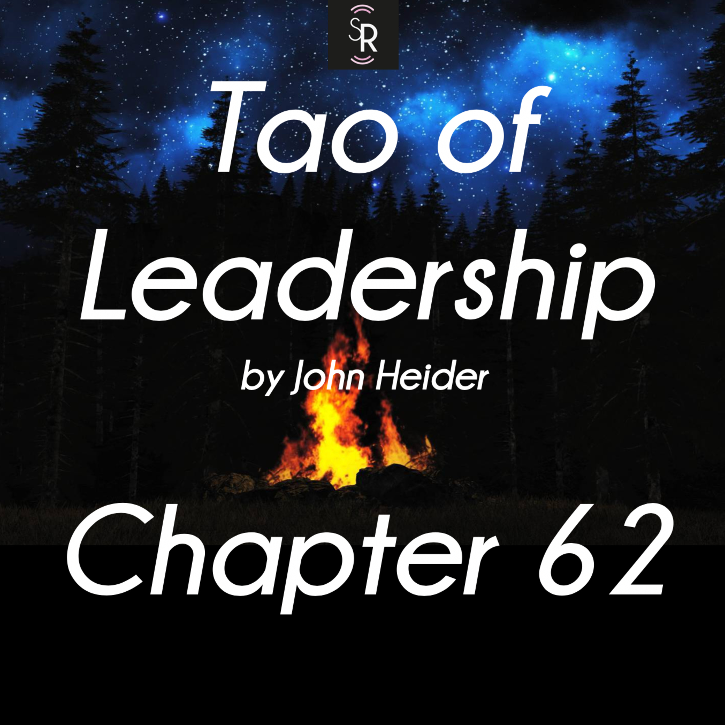 Ch 62 - Tao of Leadership by John Heider - study, and meditation - Whether You Know It or Not episode artwork