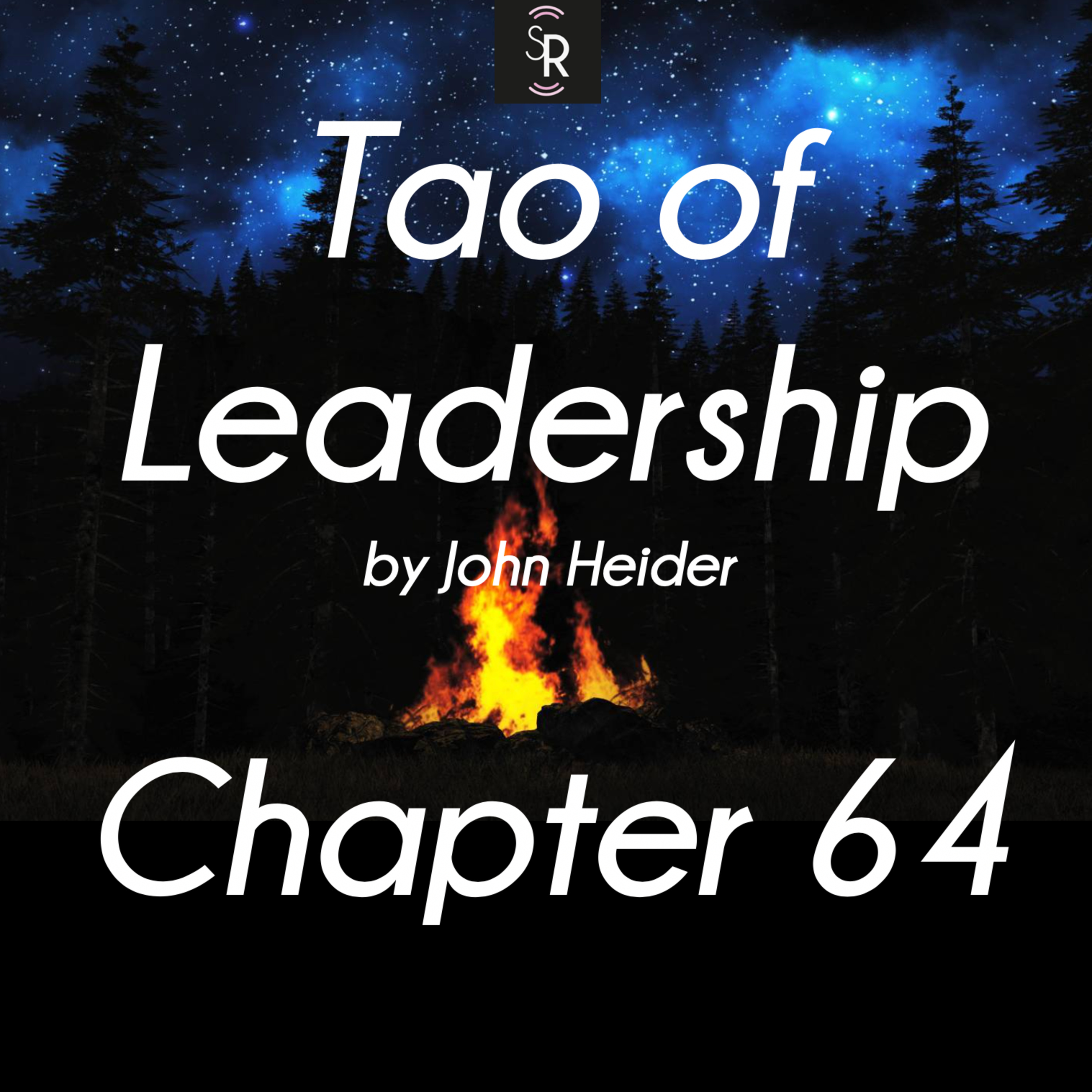 Ch 64 - Tao of Leadership by John Heider - study and meditation  episode artwork