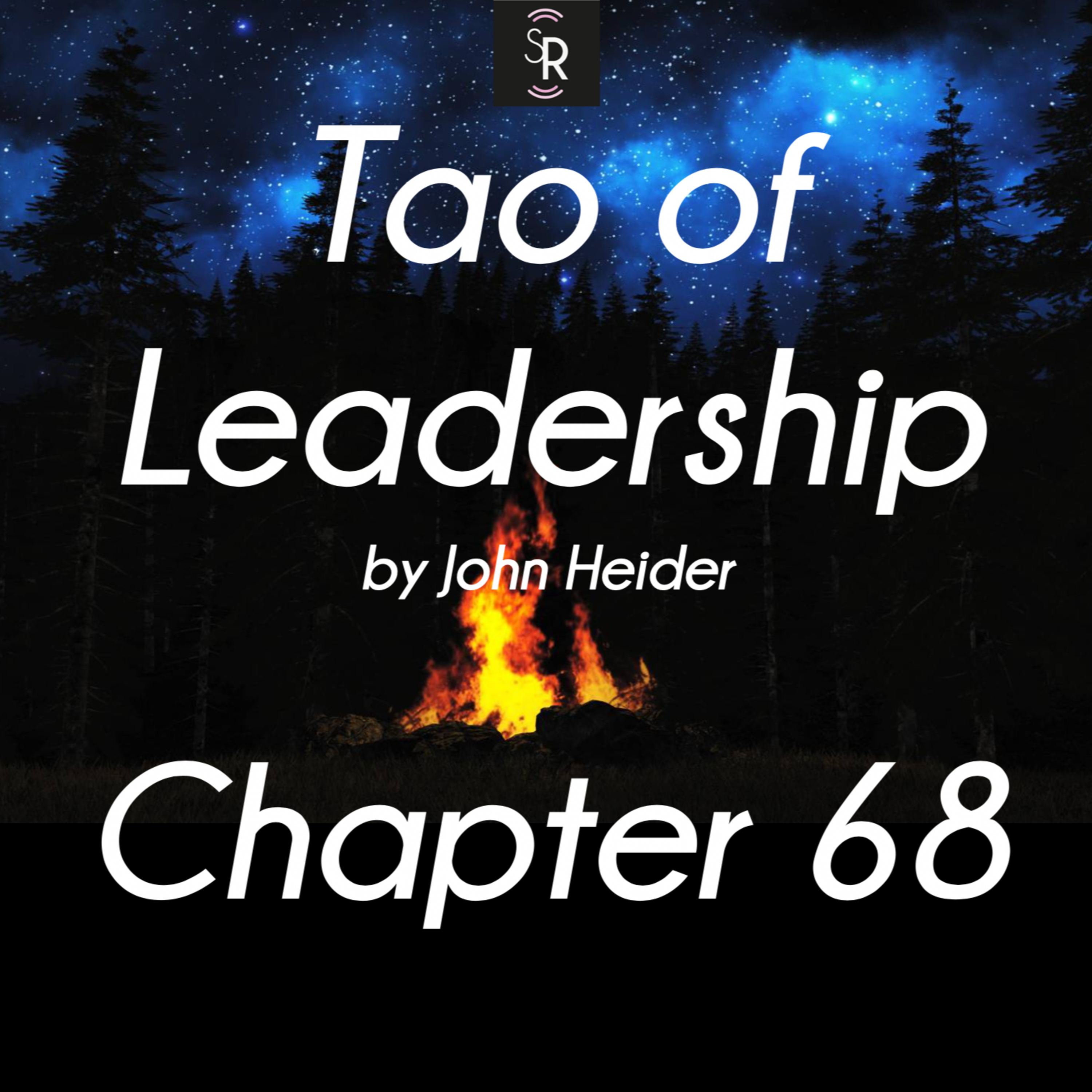 Ch 68 - Tao of Leadership by John Heider - study and meditation - Opportunities episode artwork
