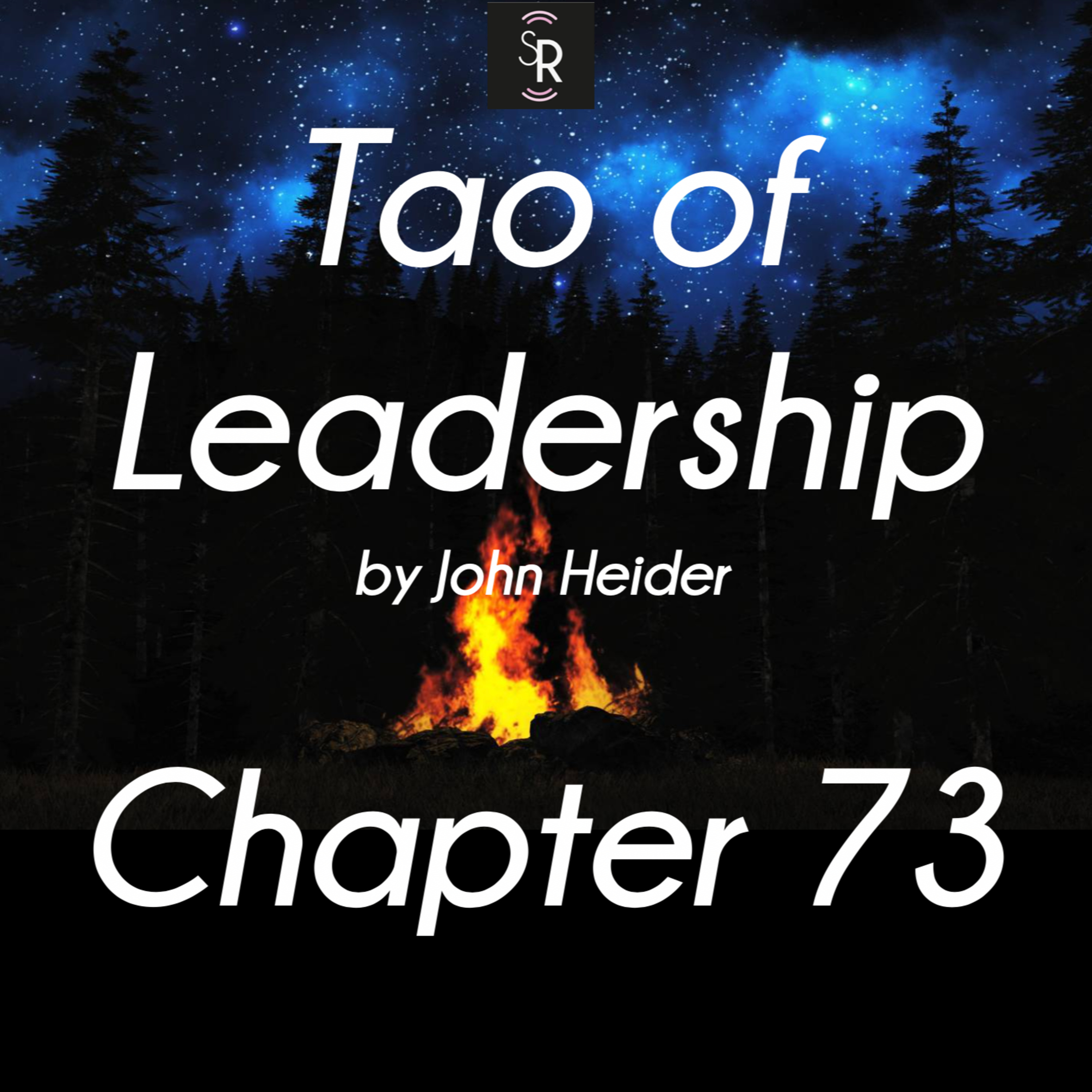 Ch 73 - Tao of Leadership by John Heider - study and meditation - Freedom and Responsibility episode artwork