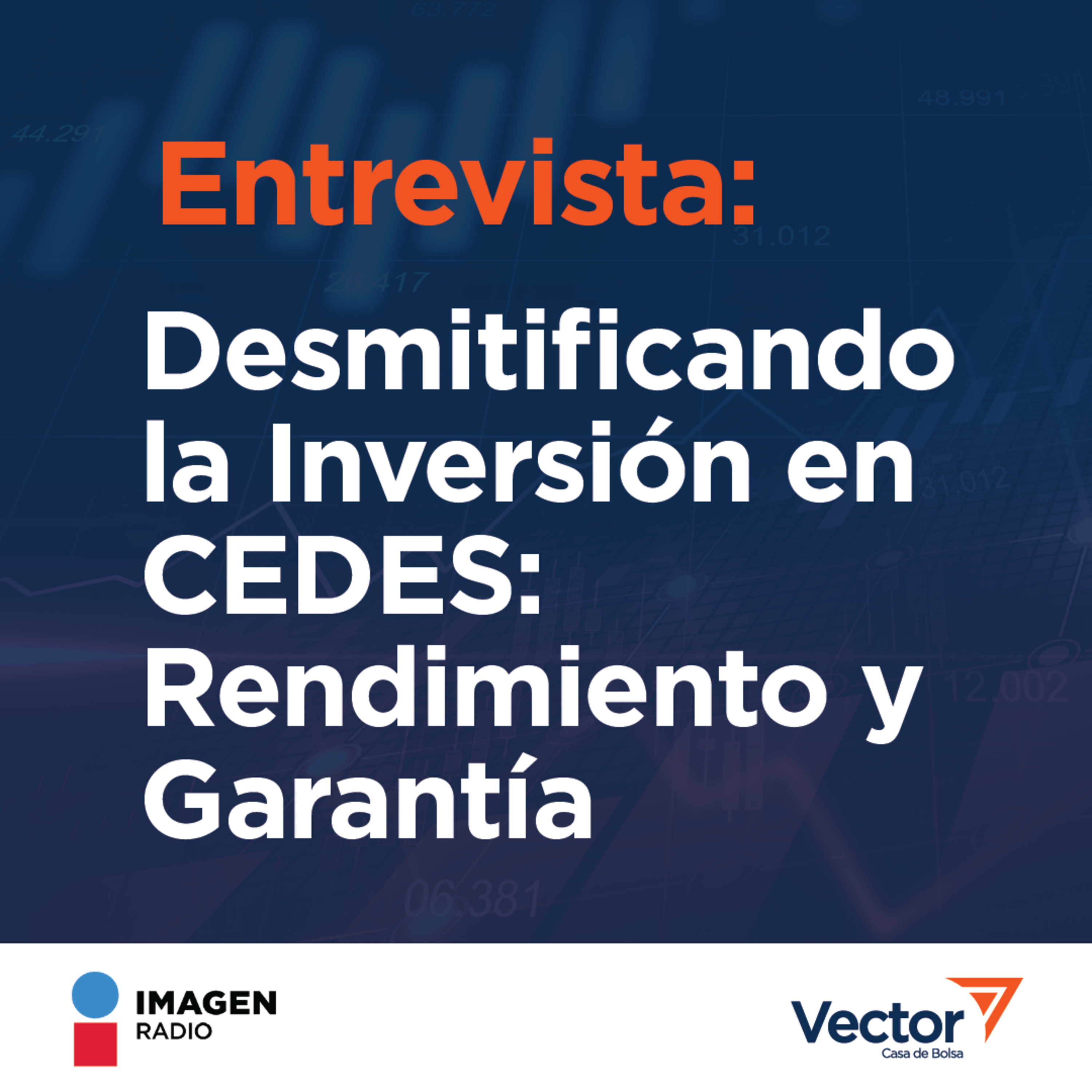 VectorCast