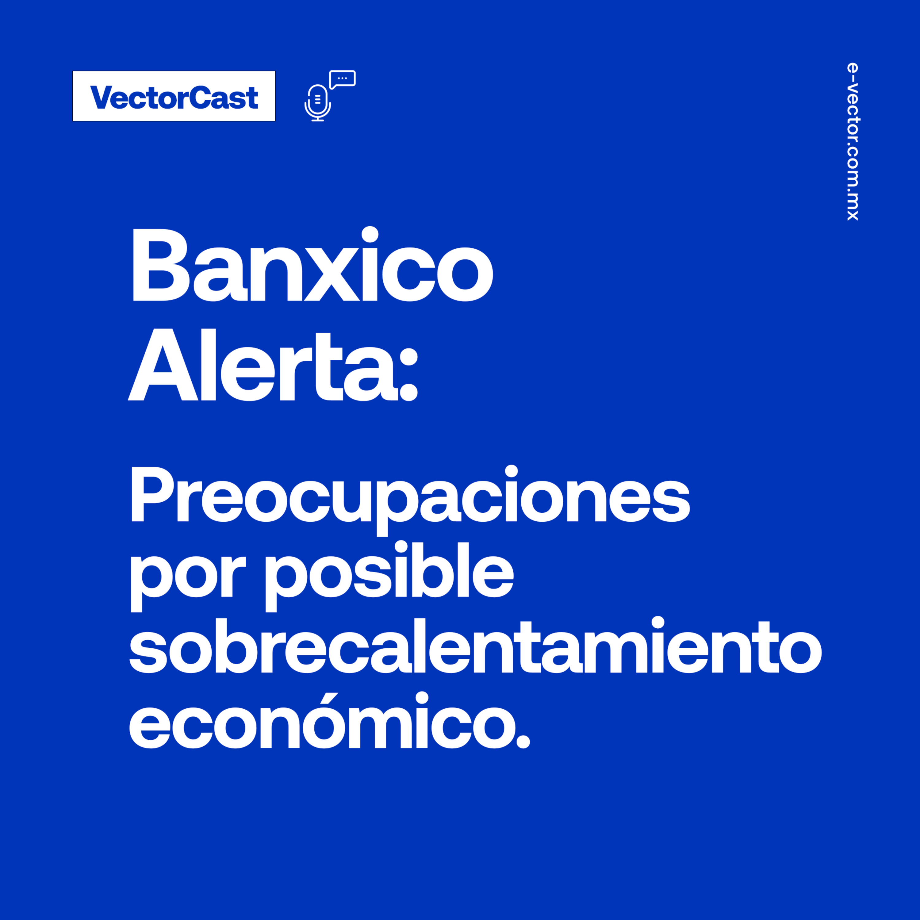VectorCast