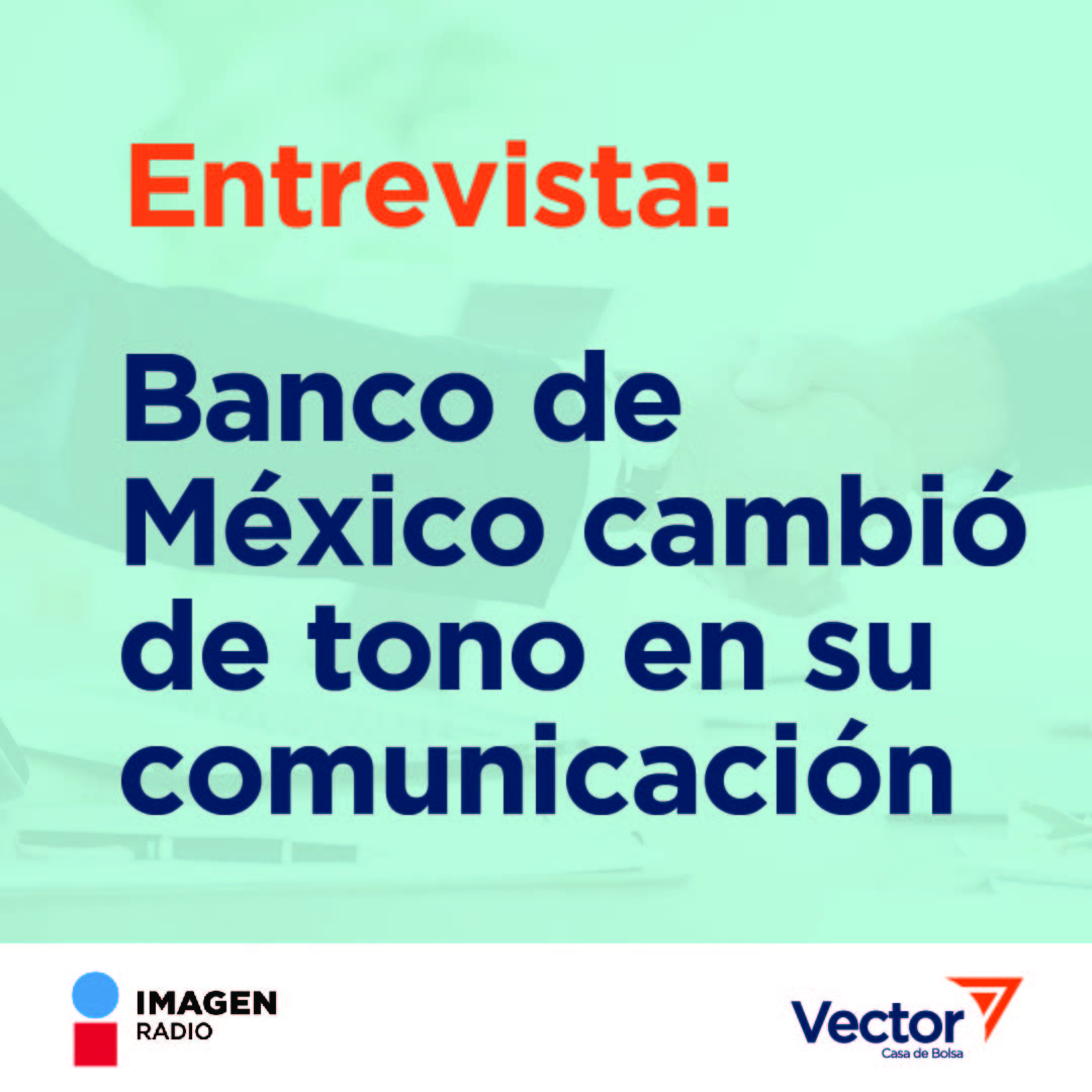 VectorCast