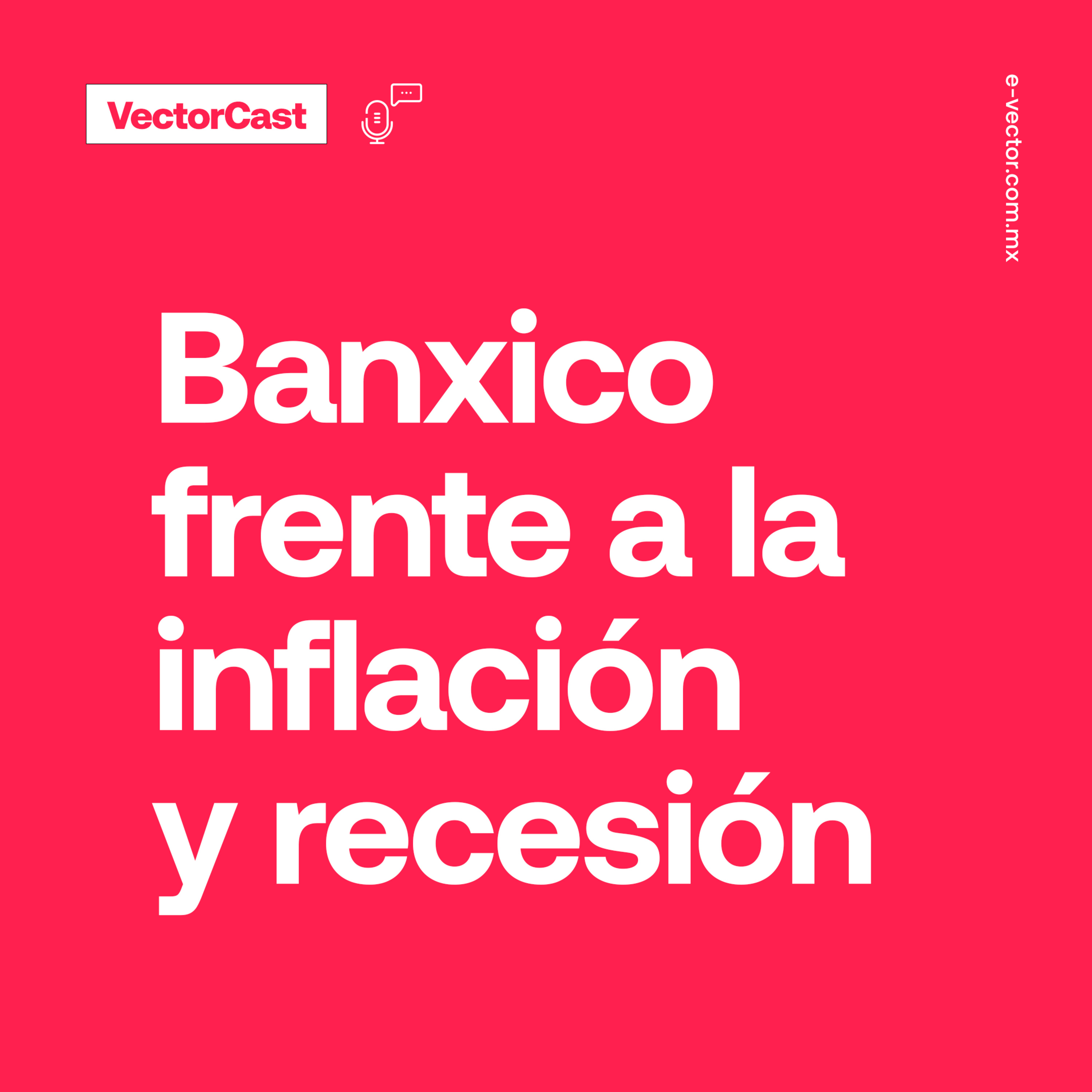 VectorCast