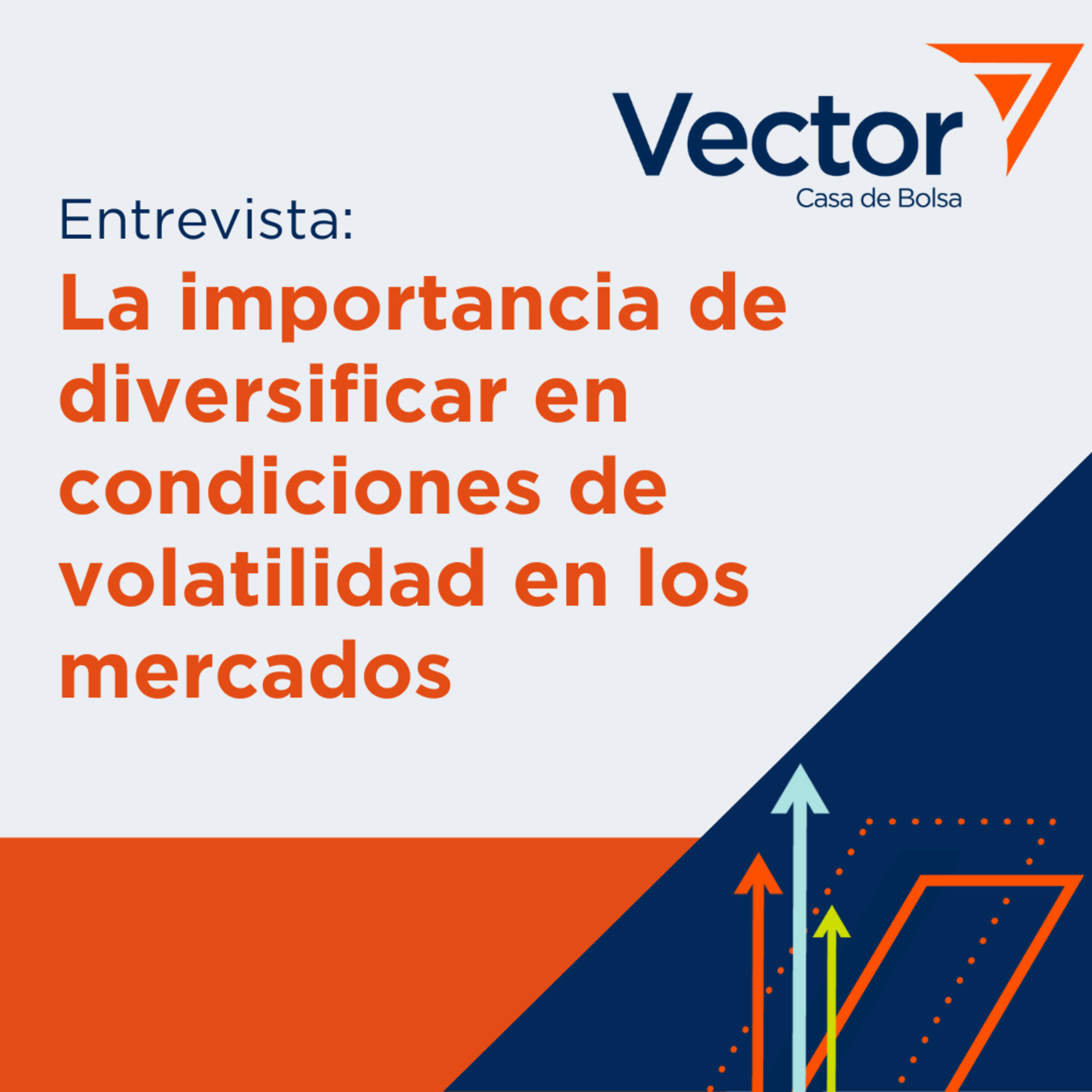 VectorCast