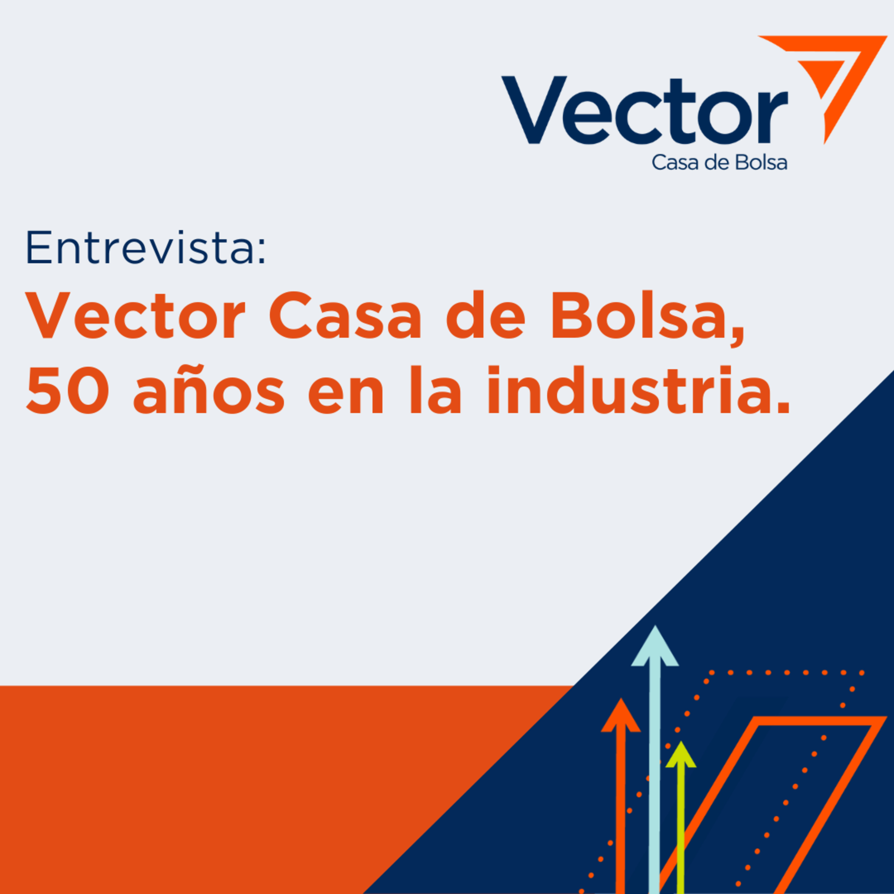 VectorCast