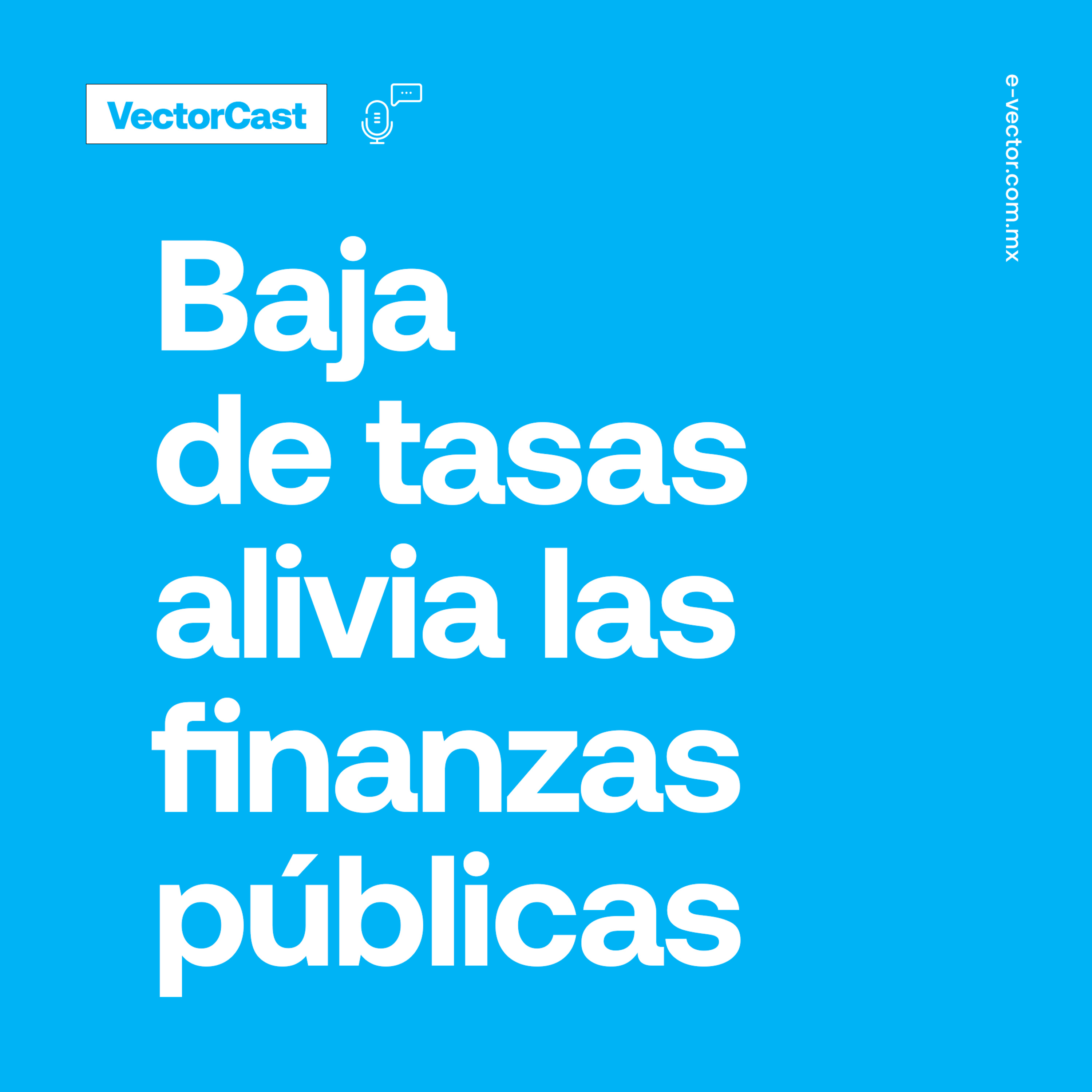 VectorCast