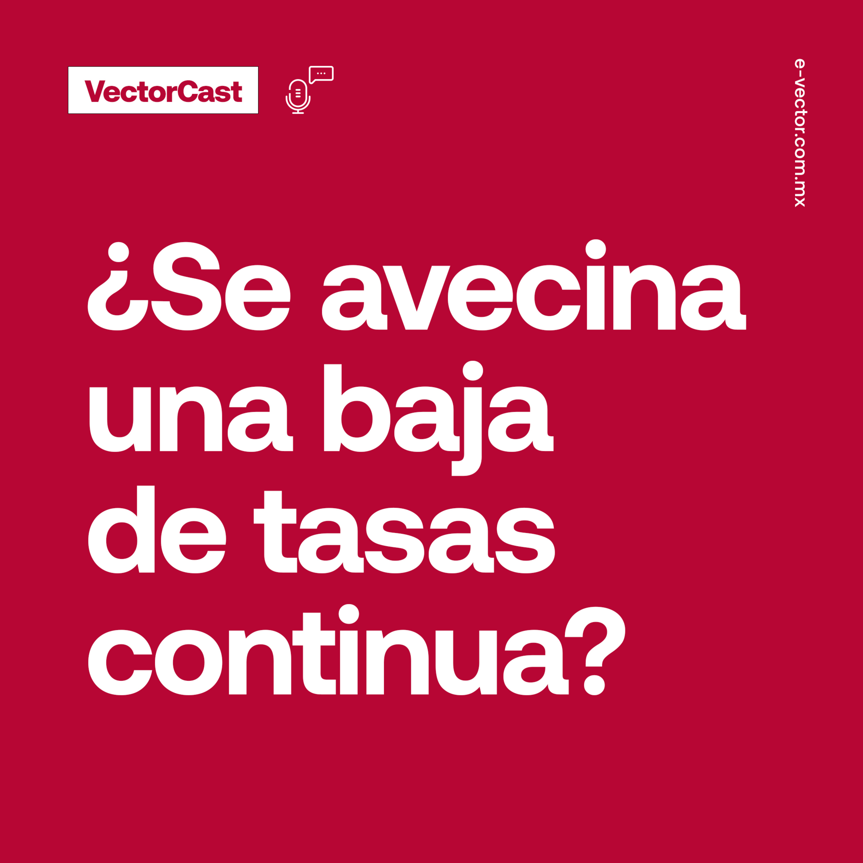 VectorCast