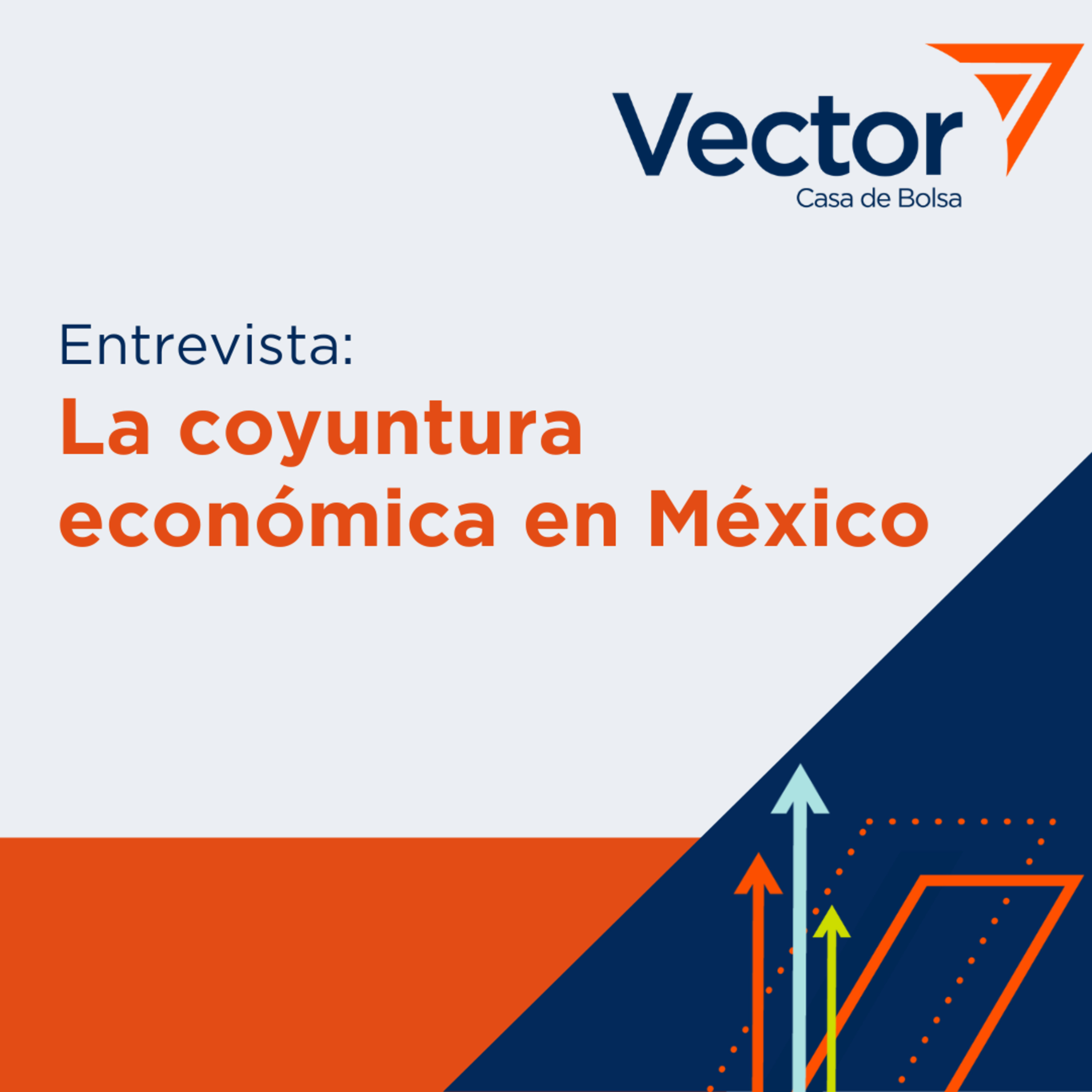 VectorCast