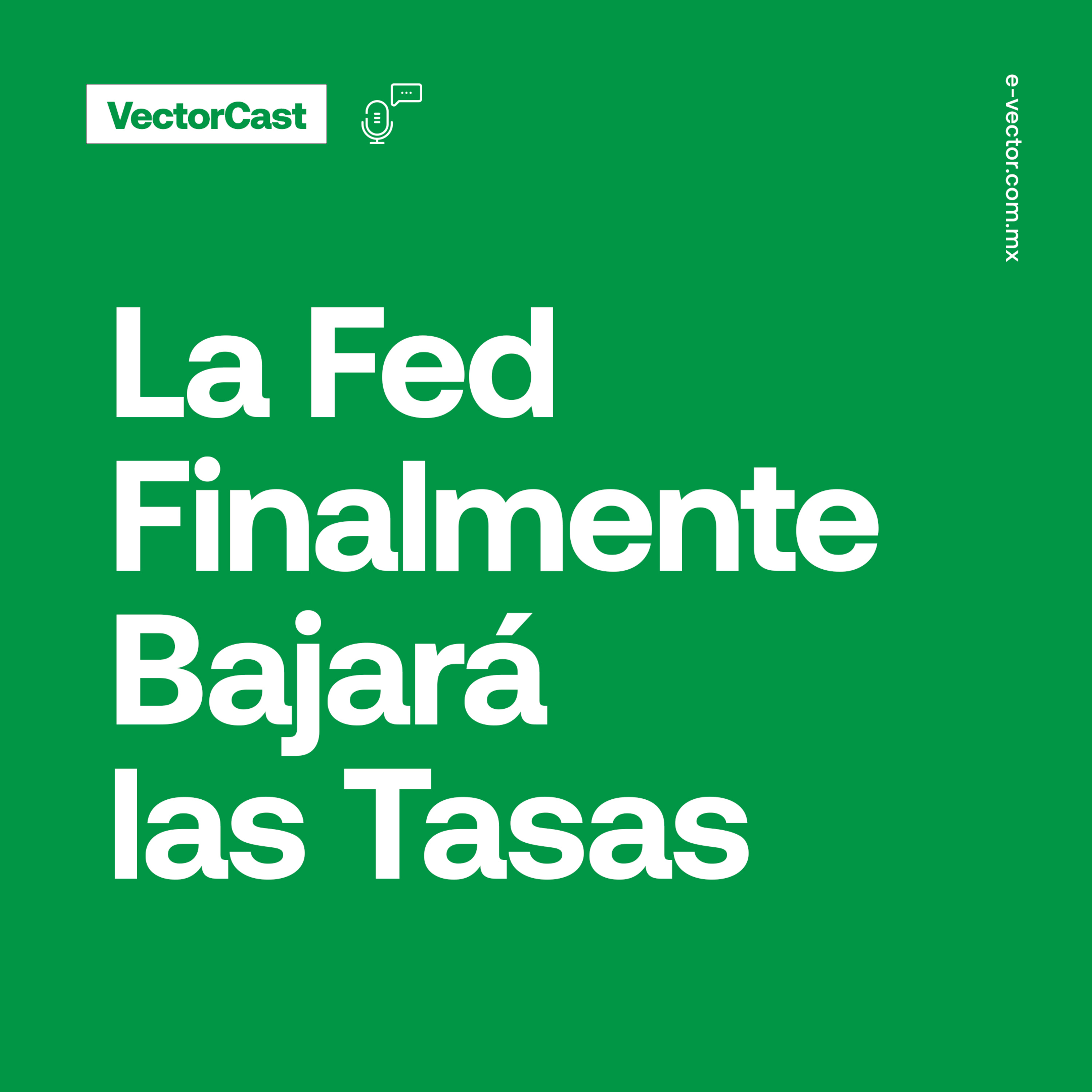 VectorCast
