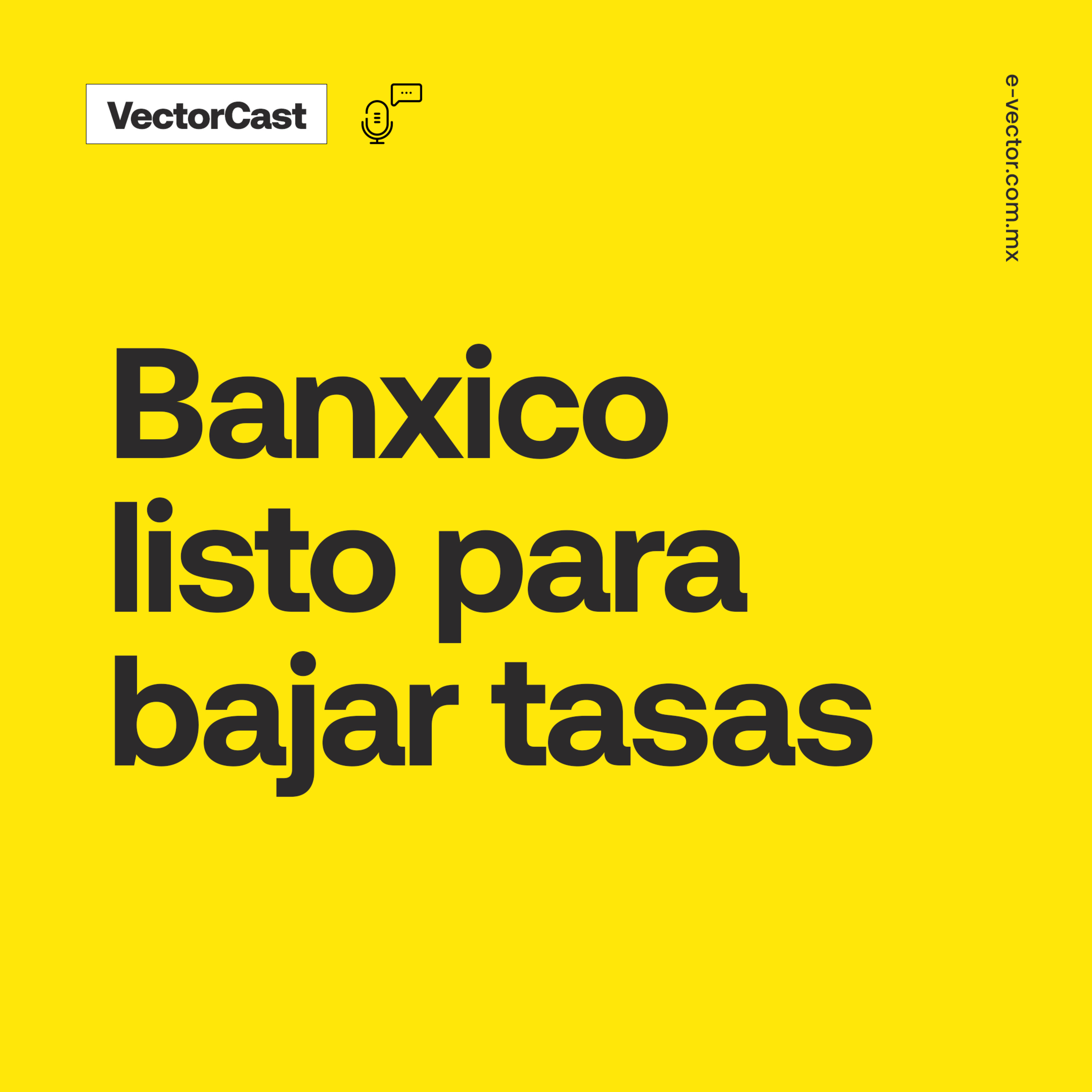 VectorCast