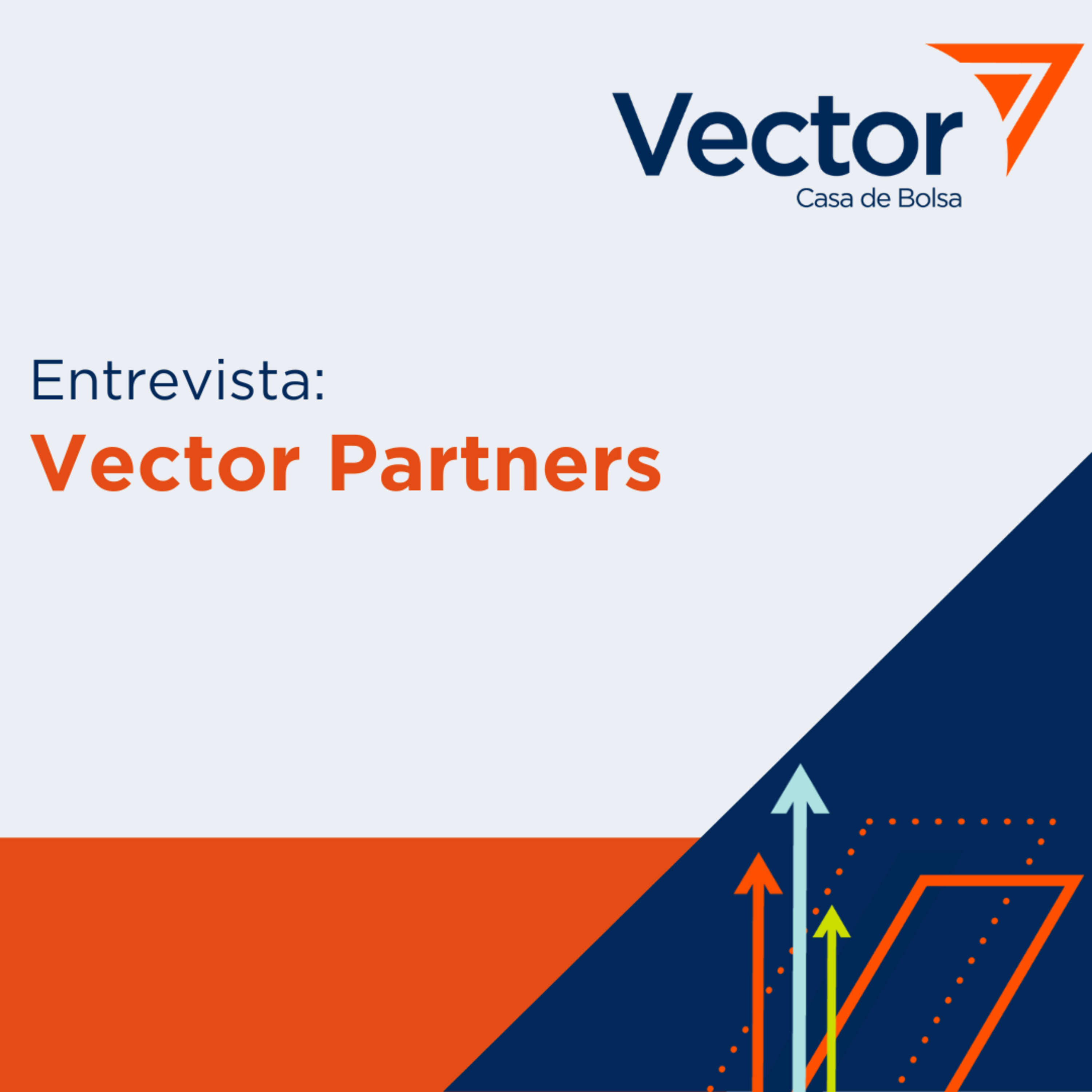VectorCast