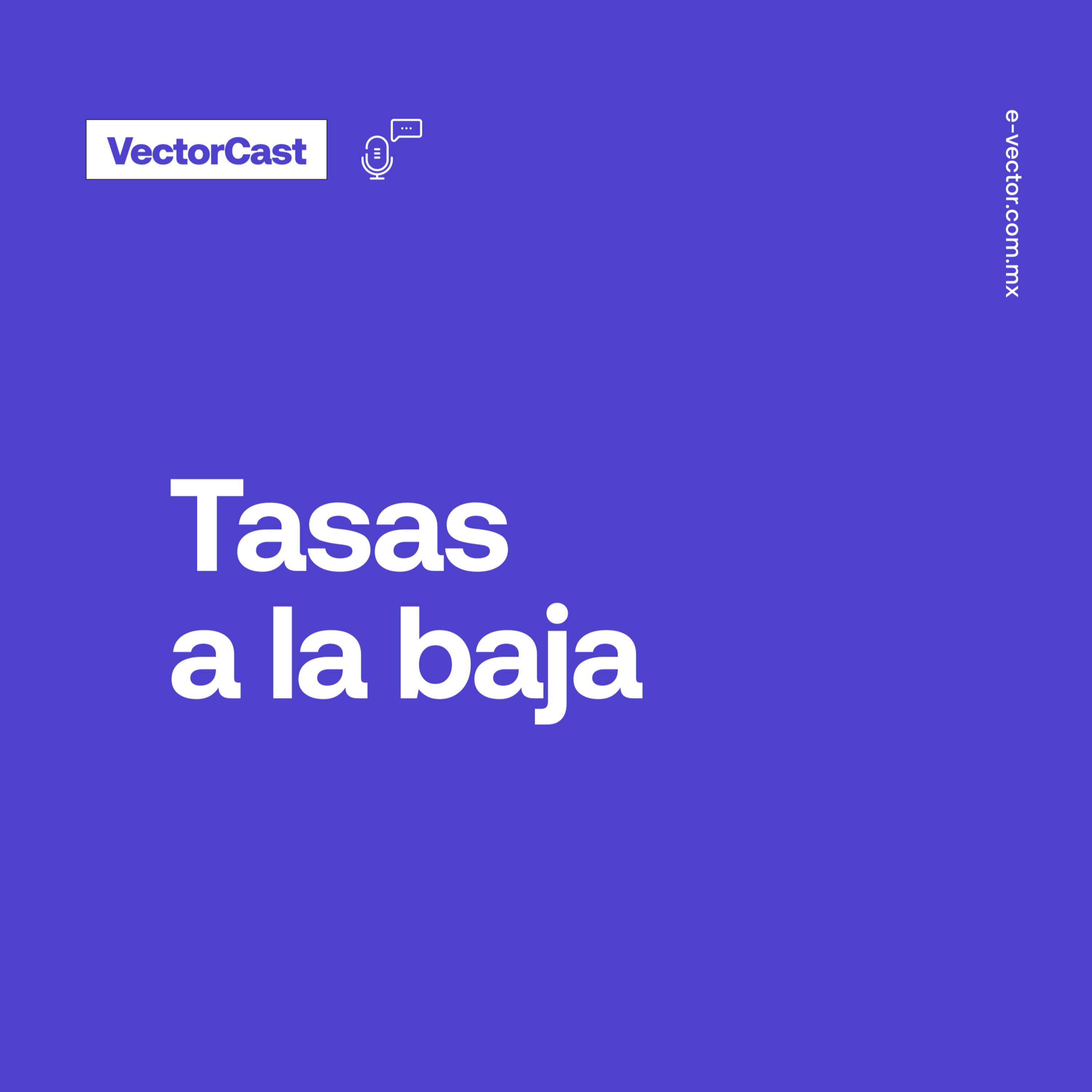 VectorCast