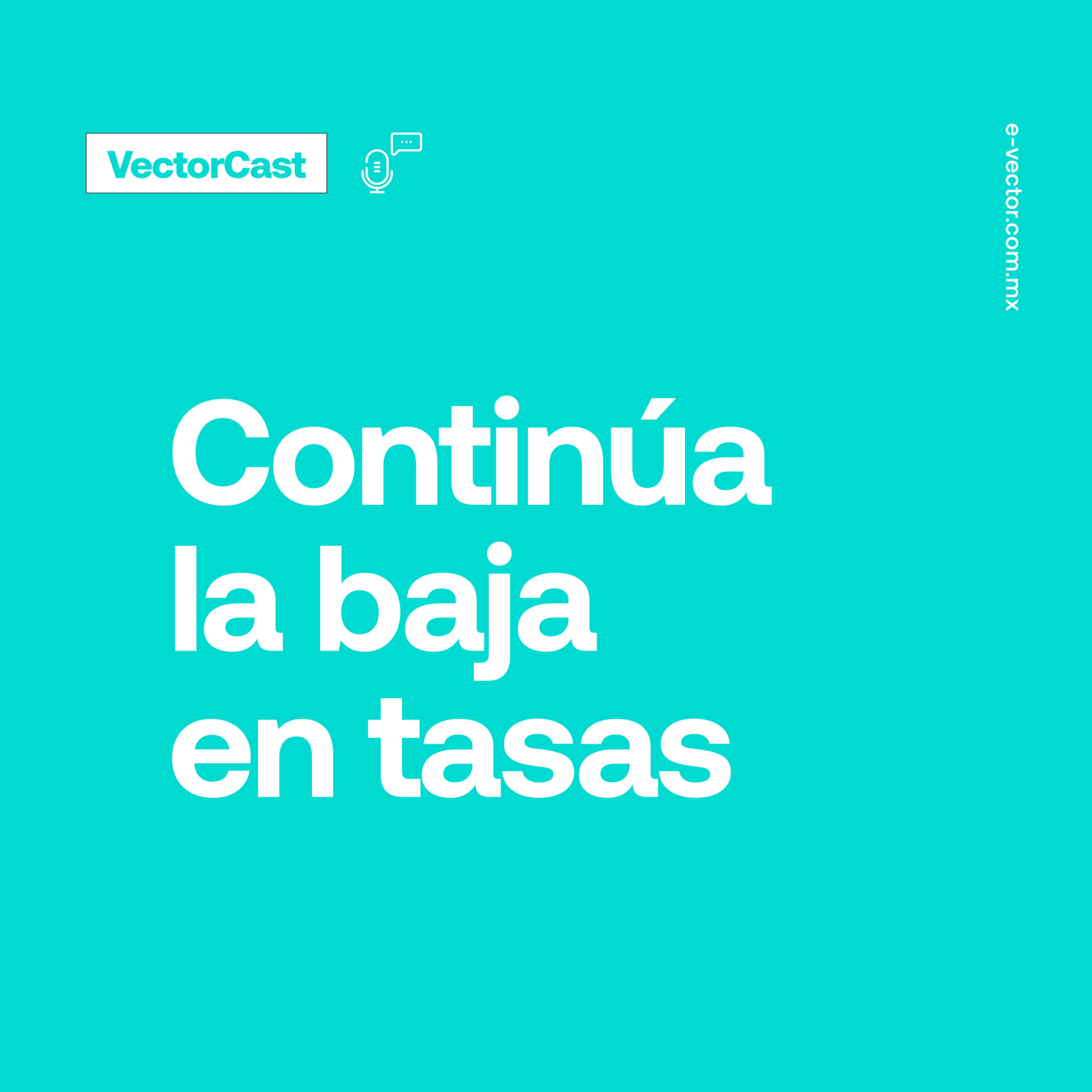 VectorCast