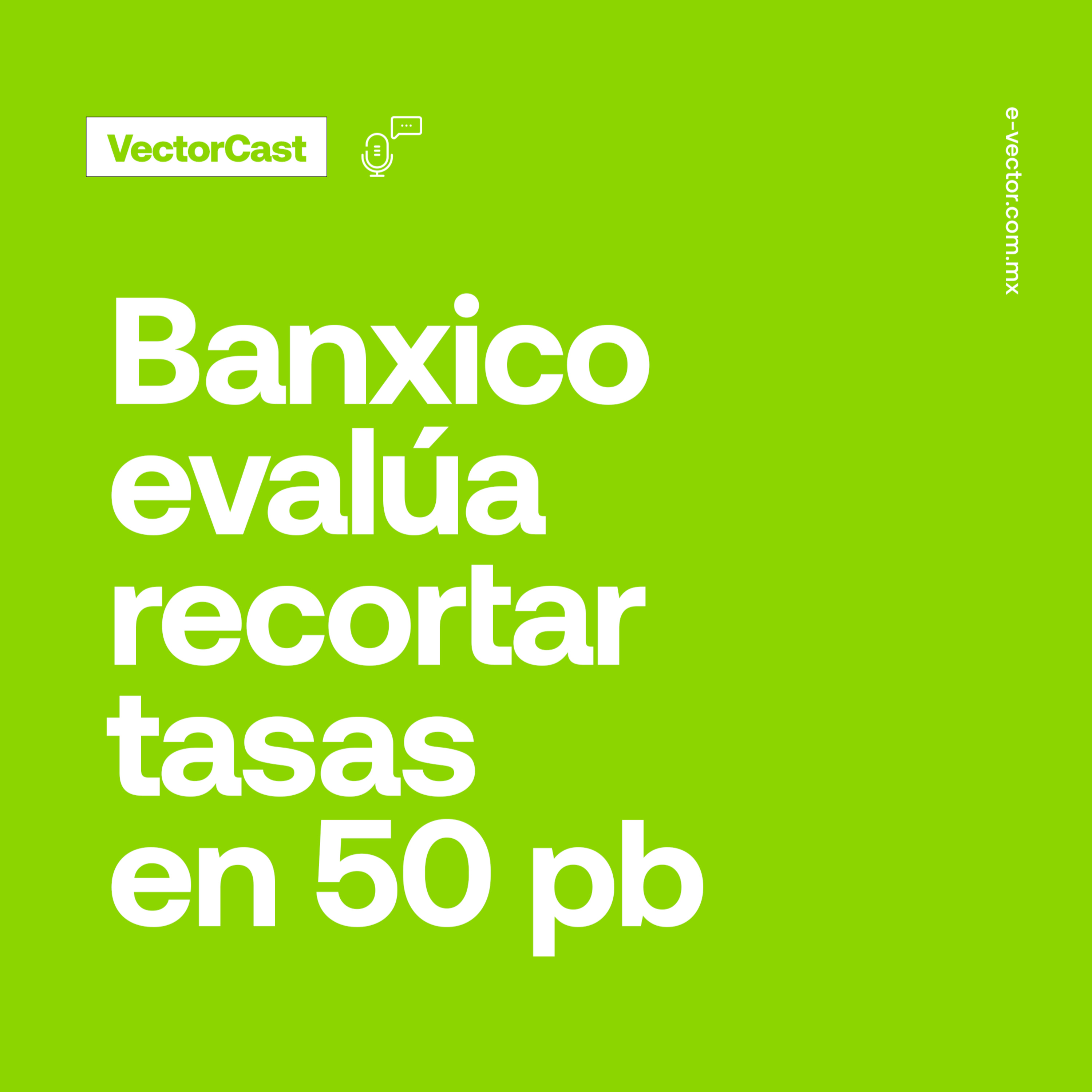 VectorCast