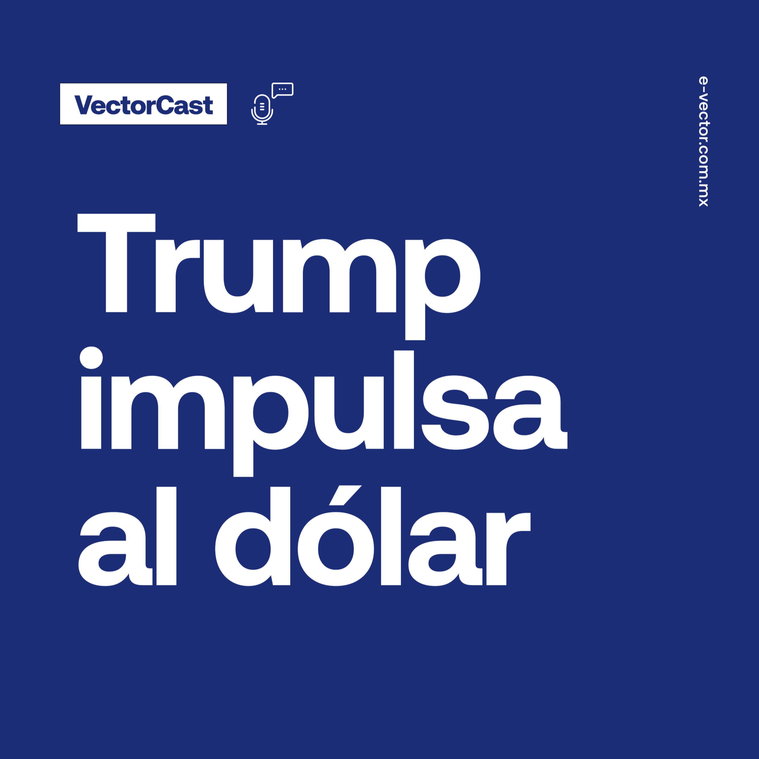 VectorCast