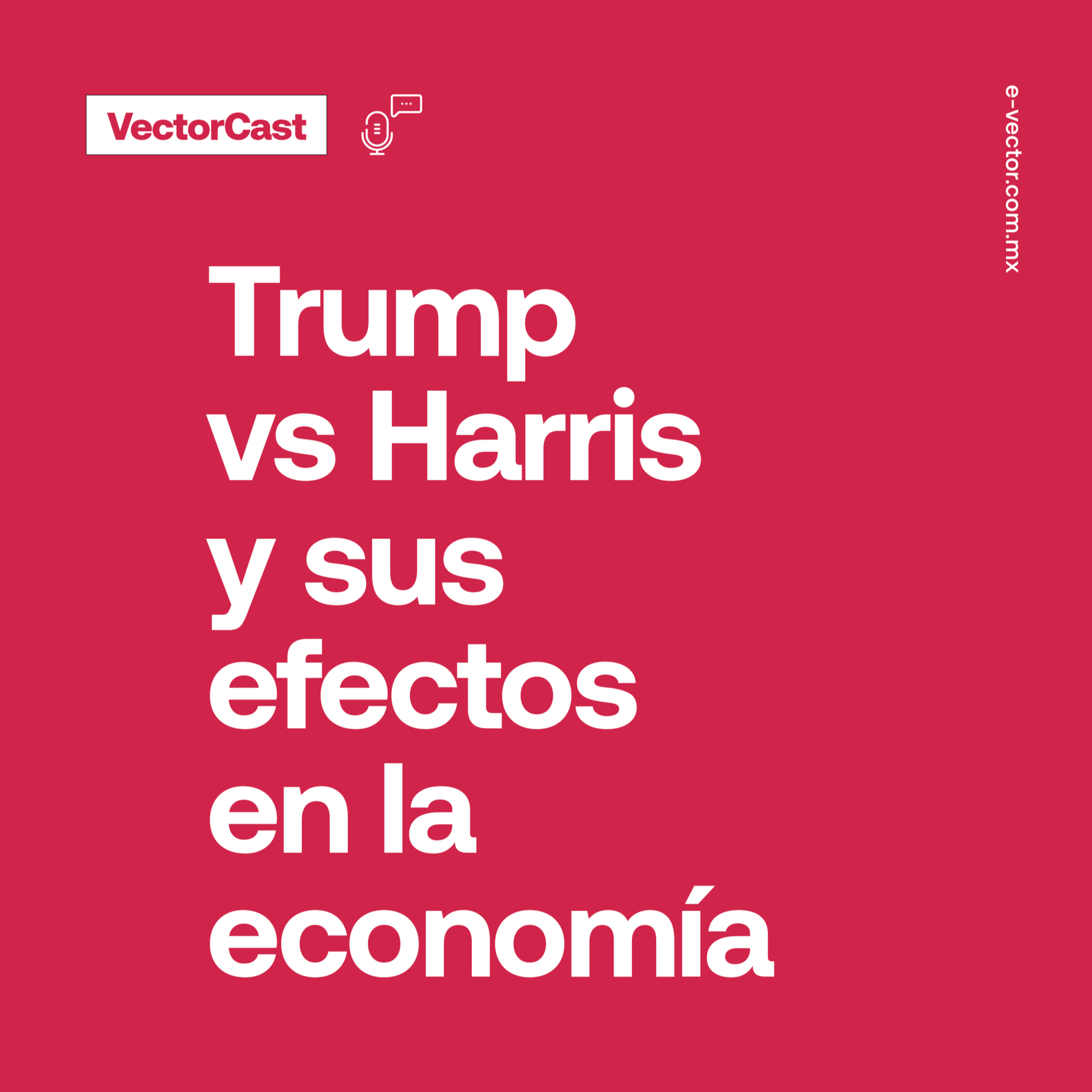 VectorCast