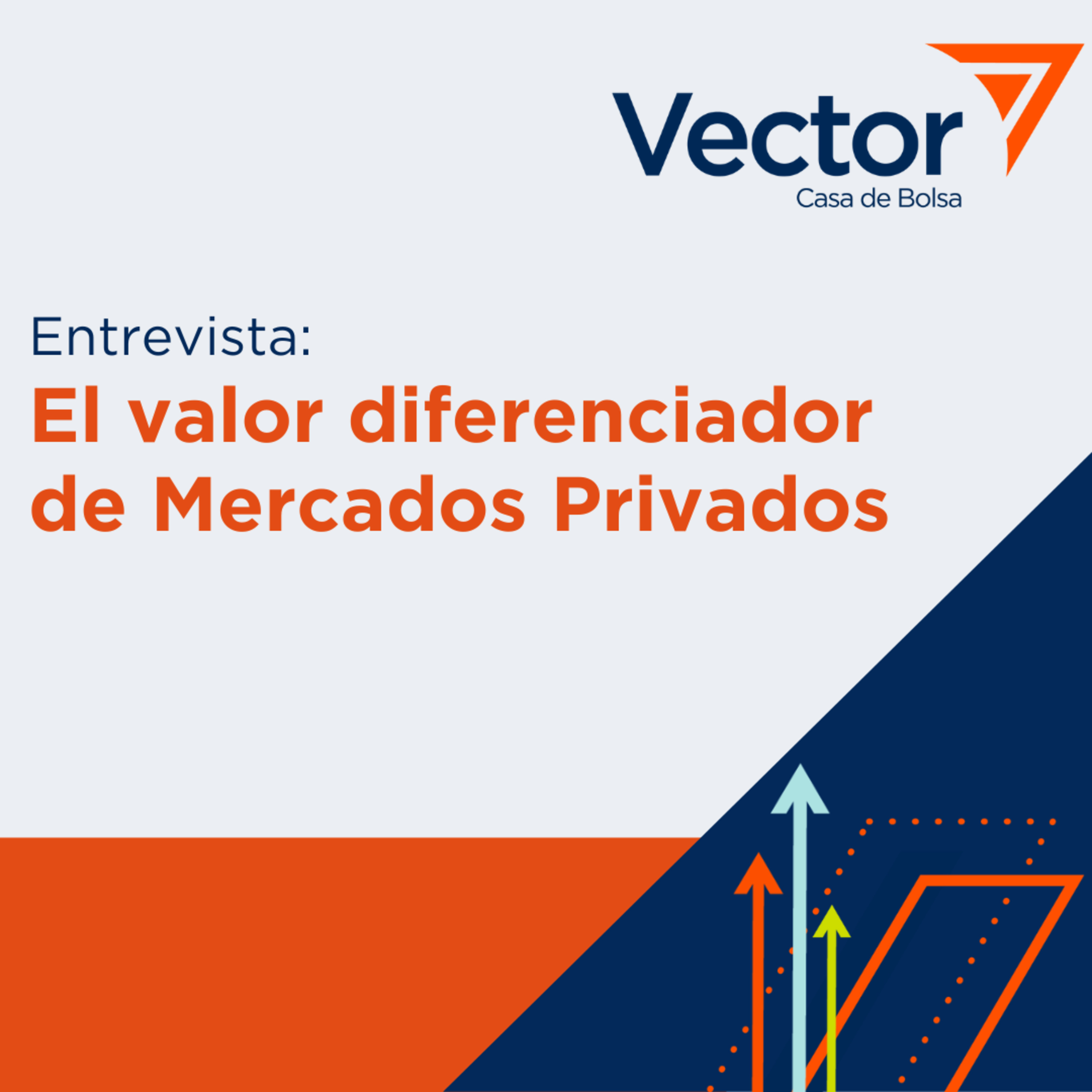VectorCast