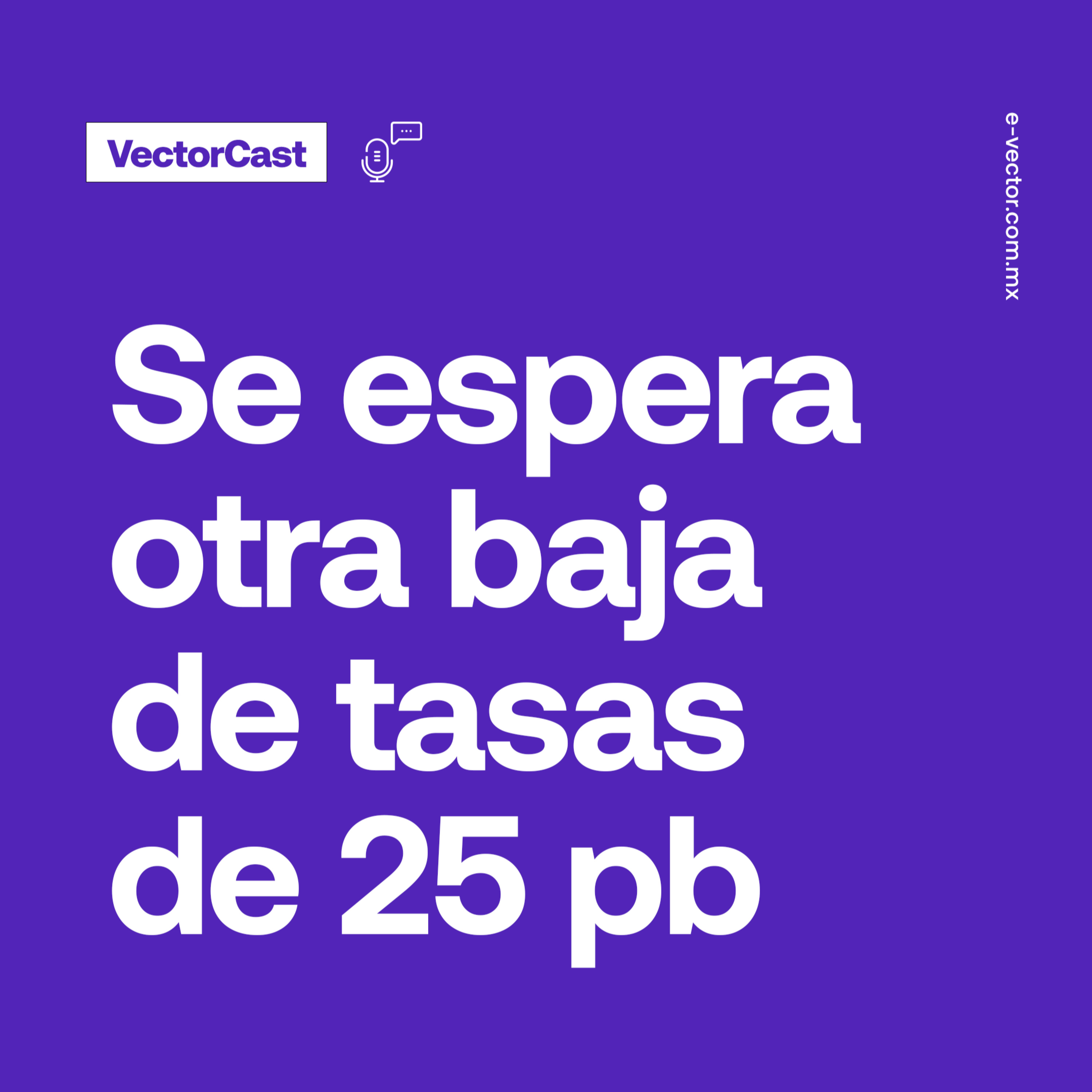 VectorCast