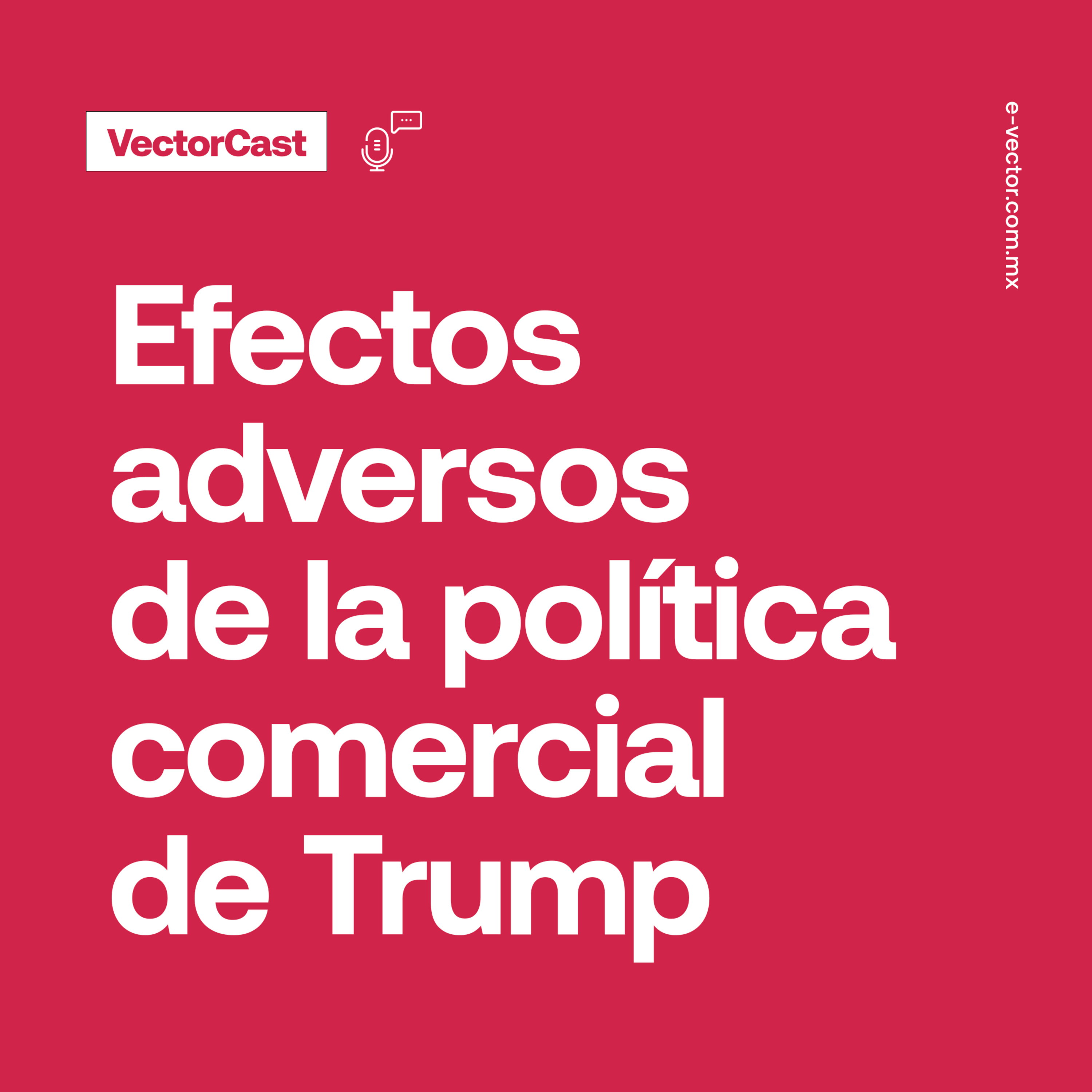 VectorCast