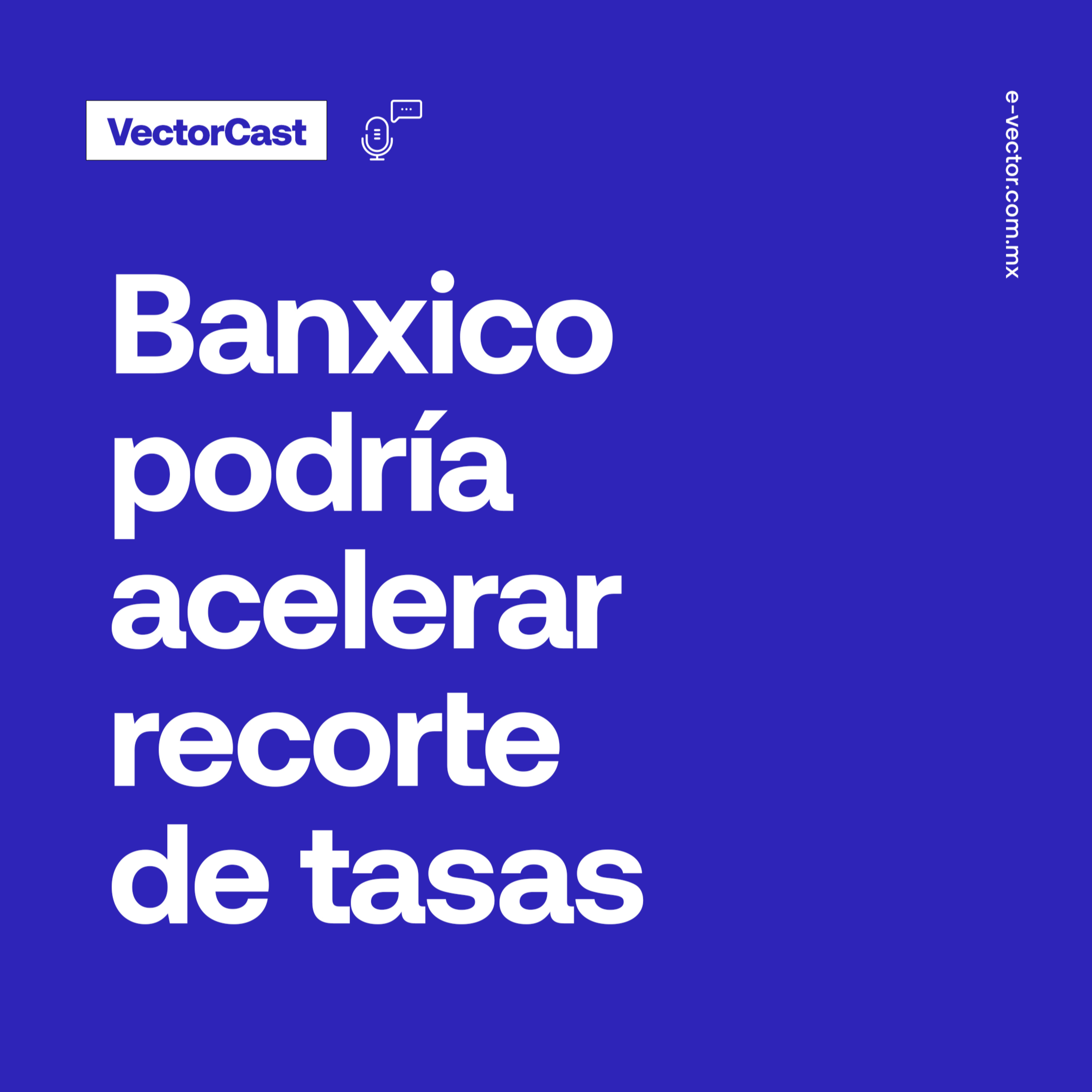 VectorCast