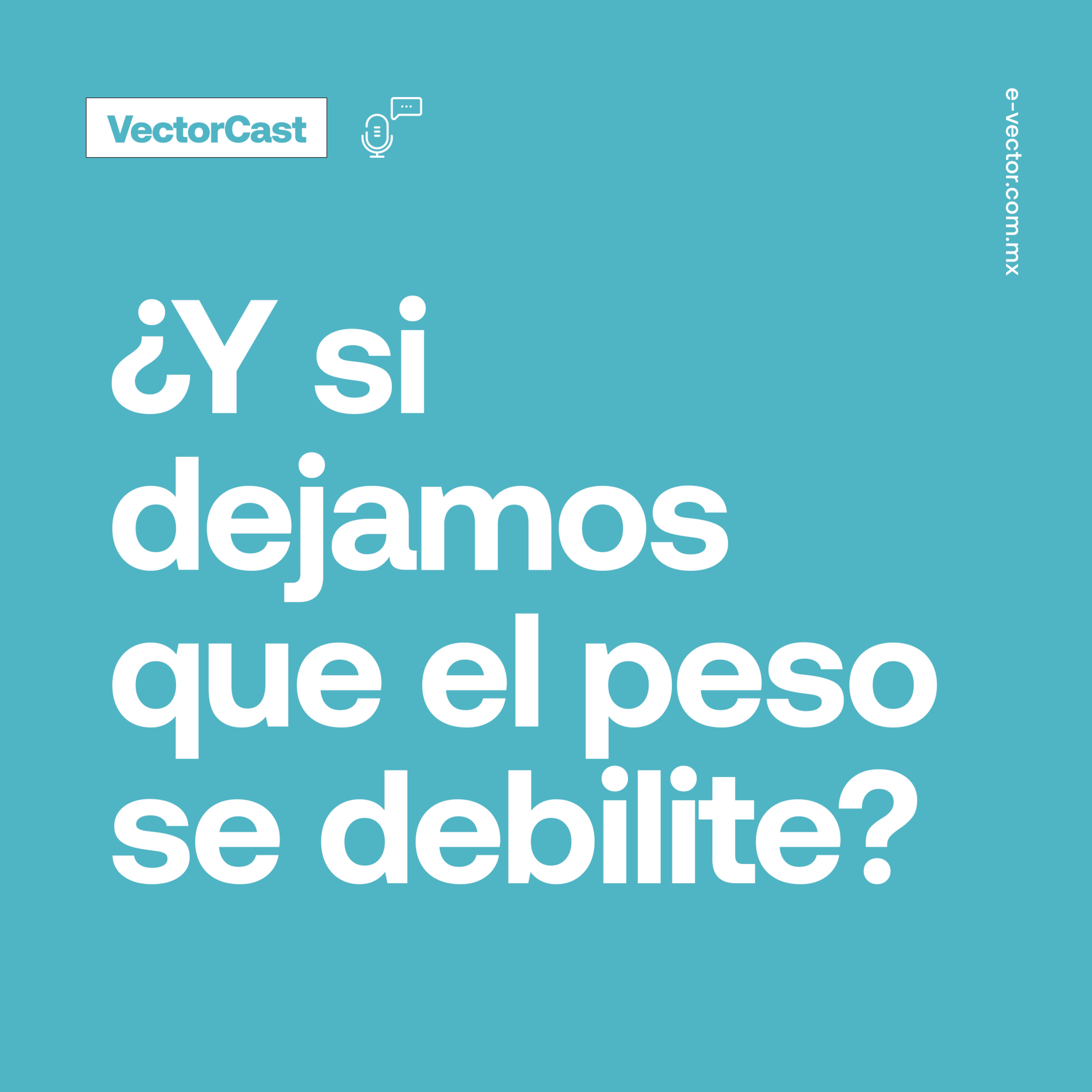VectorCast