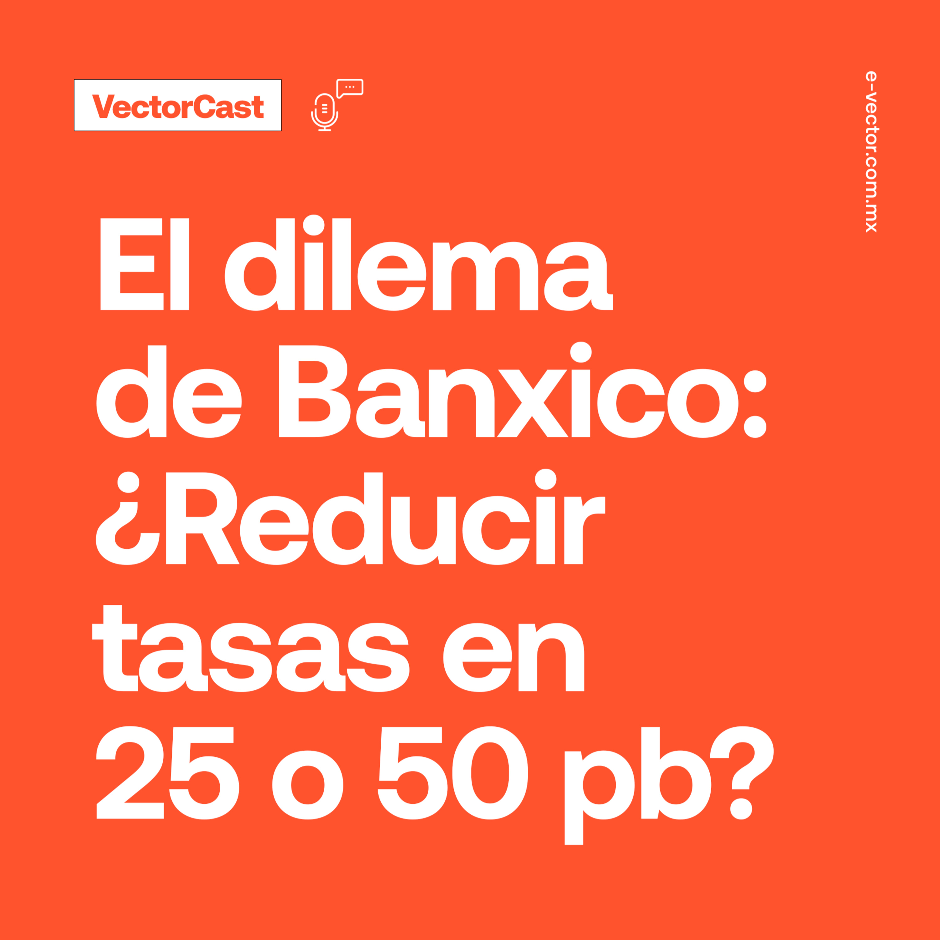 VectorCast