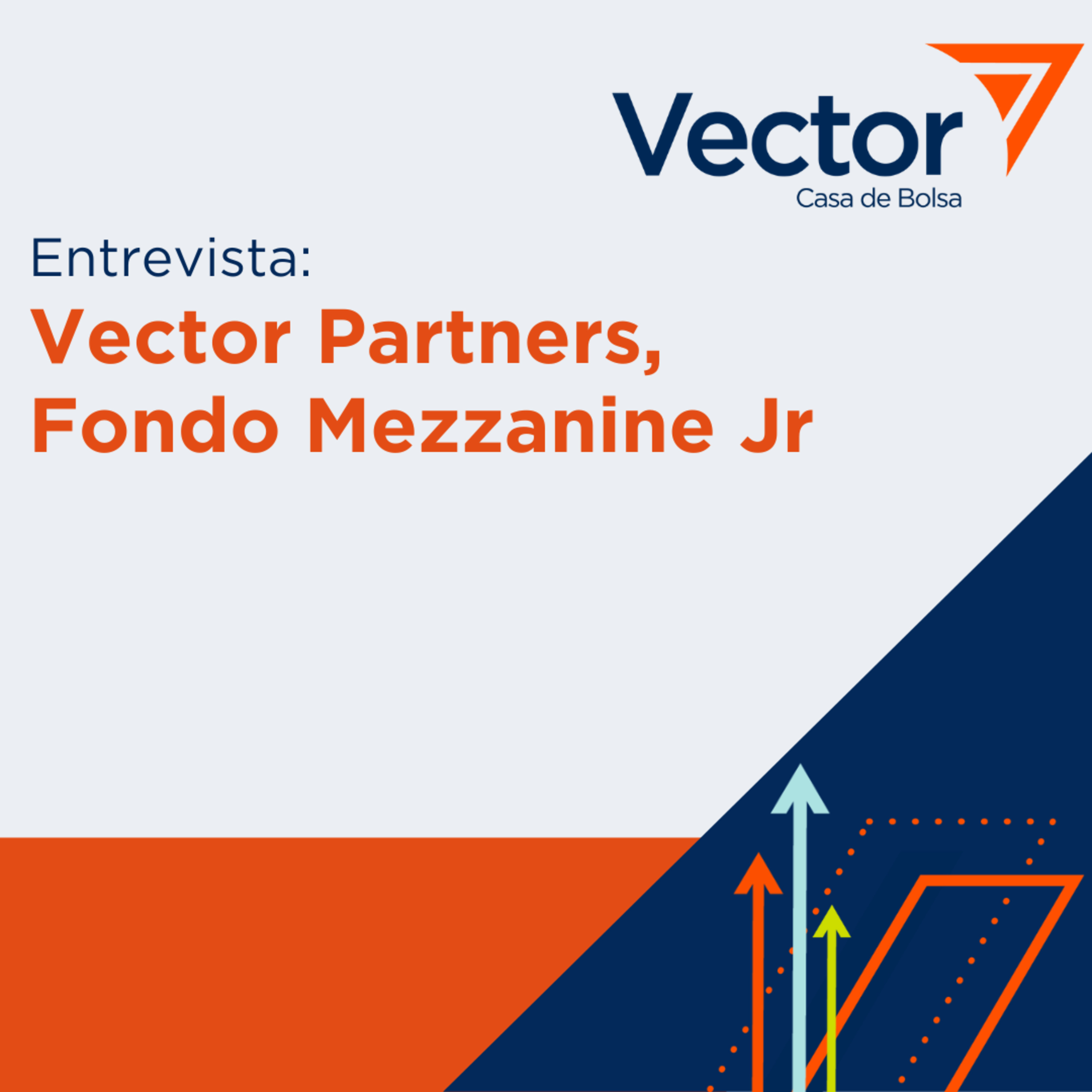 VectorCast