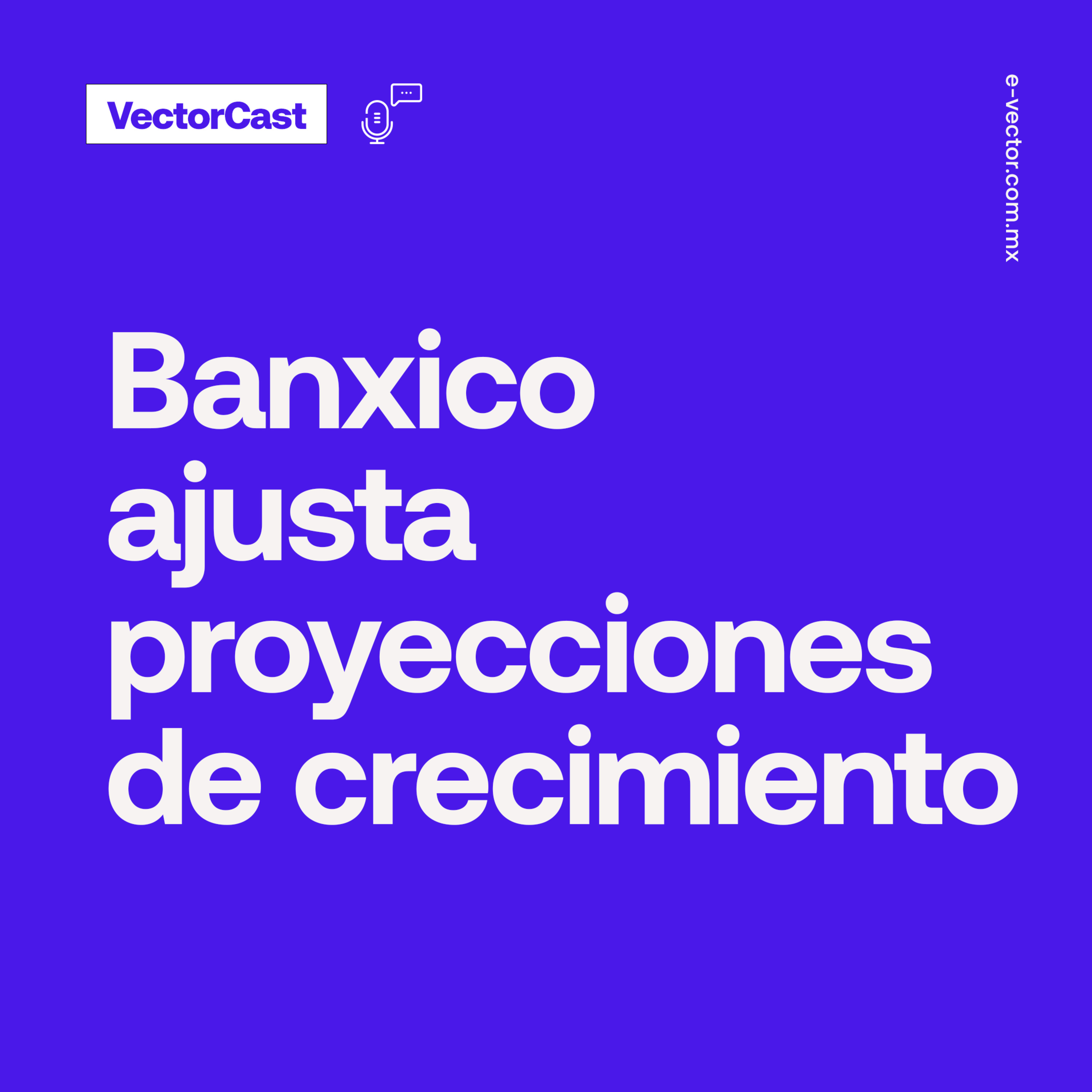 VectorCast