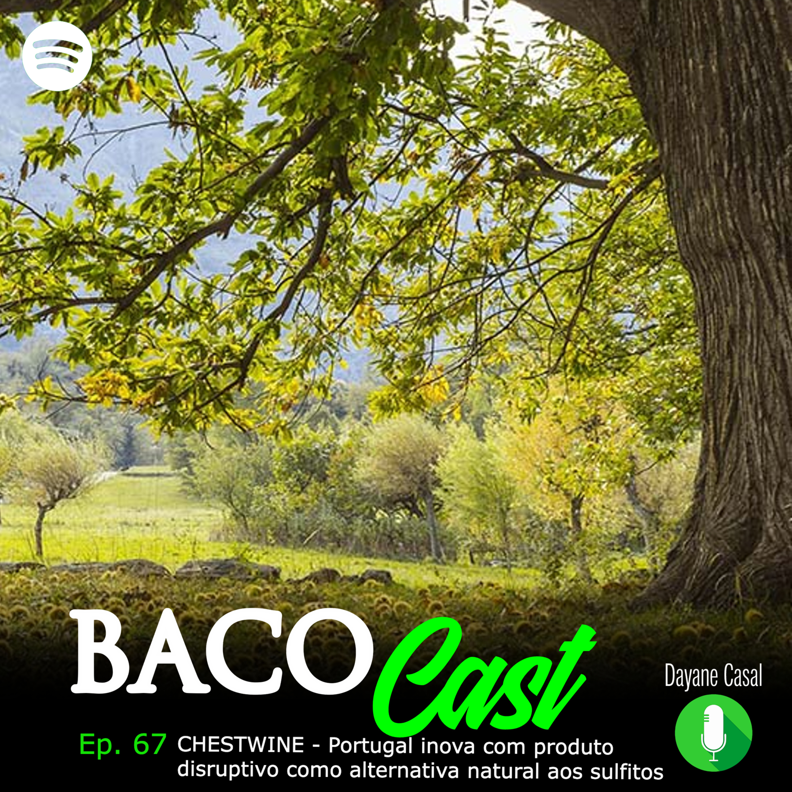 EP. 67 CHESTWINE® - Portugal inova com produto disruptivo como alternativa natural aos sulfitos episode artwork