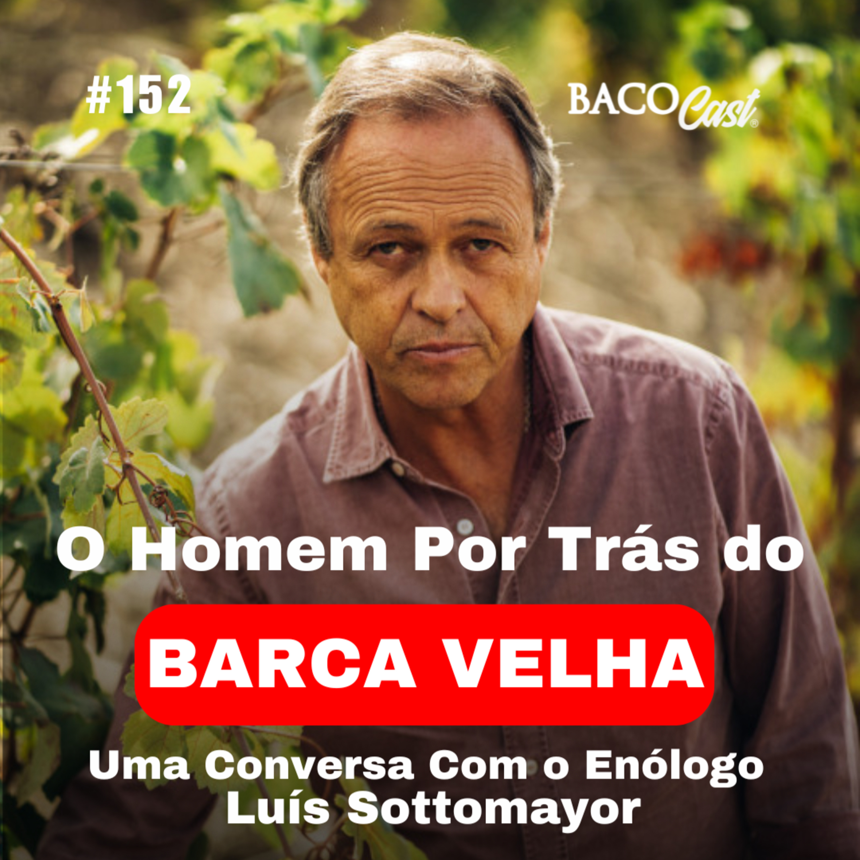 Barca Velha: A Responsabilidade de Criar um Ícone | Conversa com Luís Sottomayor | #152 BacoCast  episode artwork