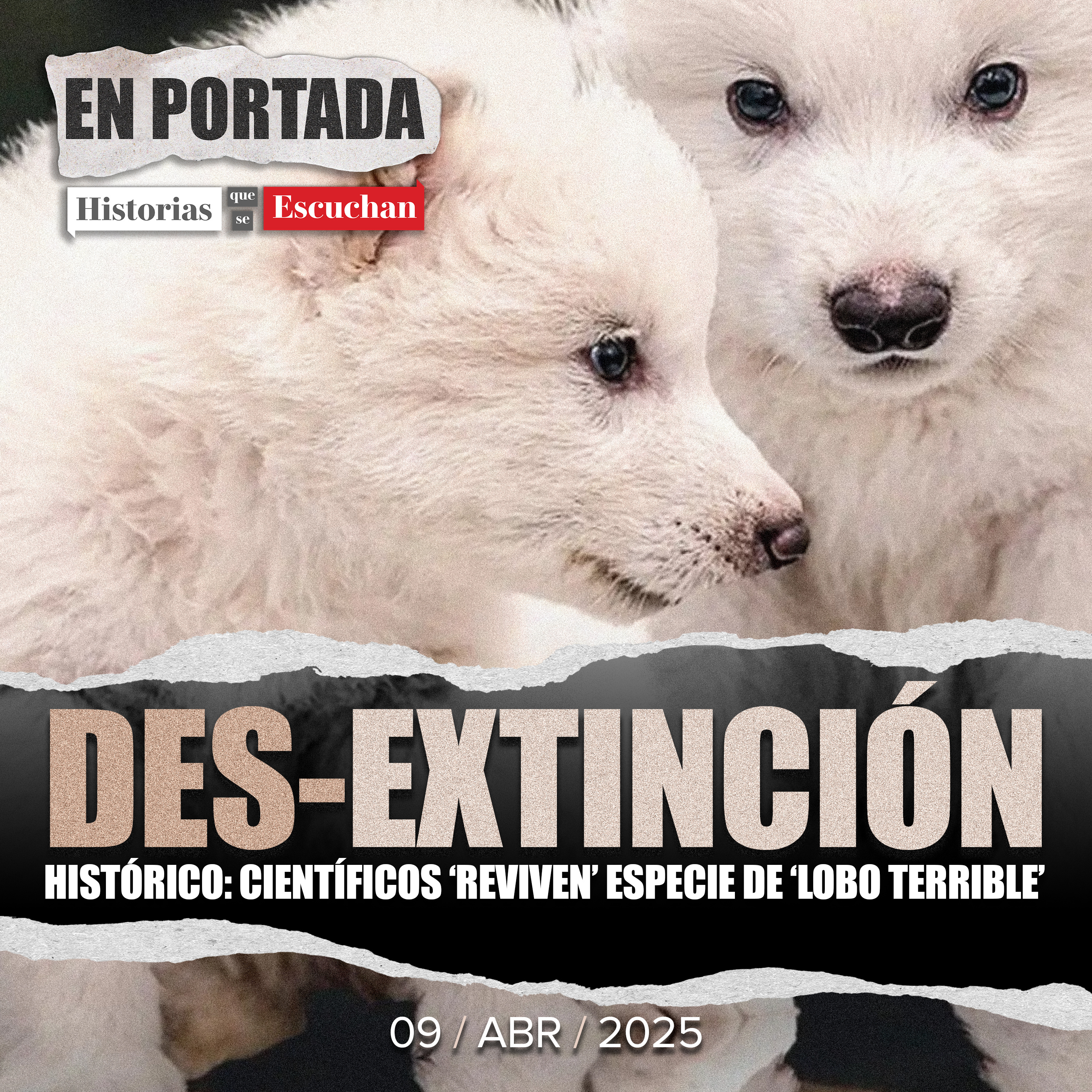 En Portada, historias que se escuchan