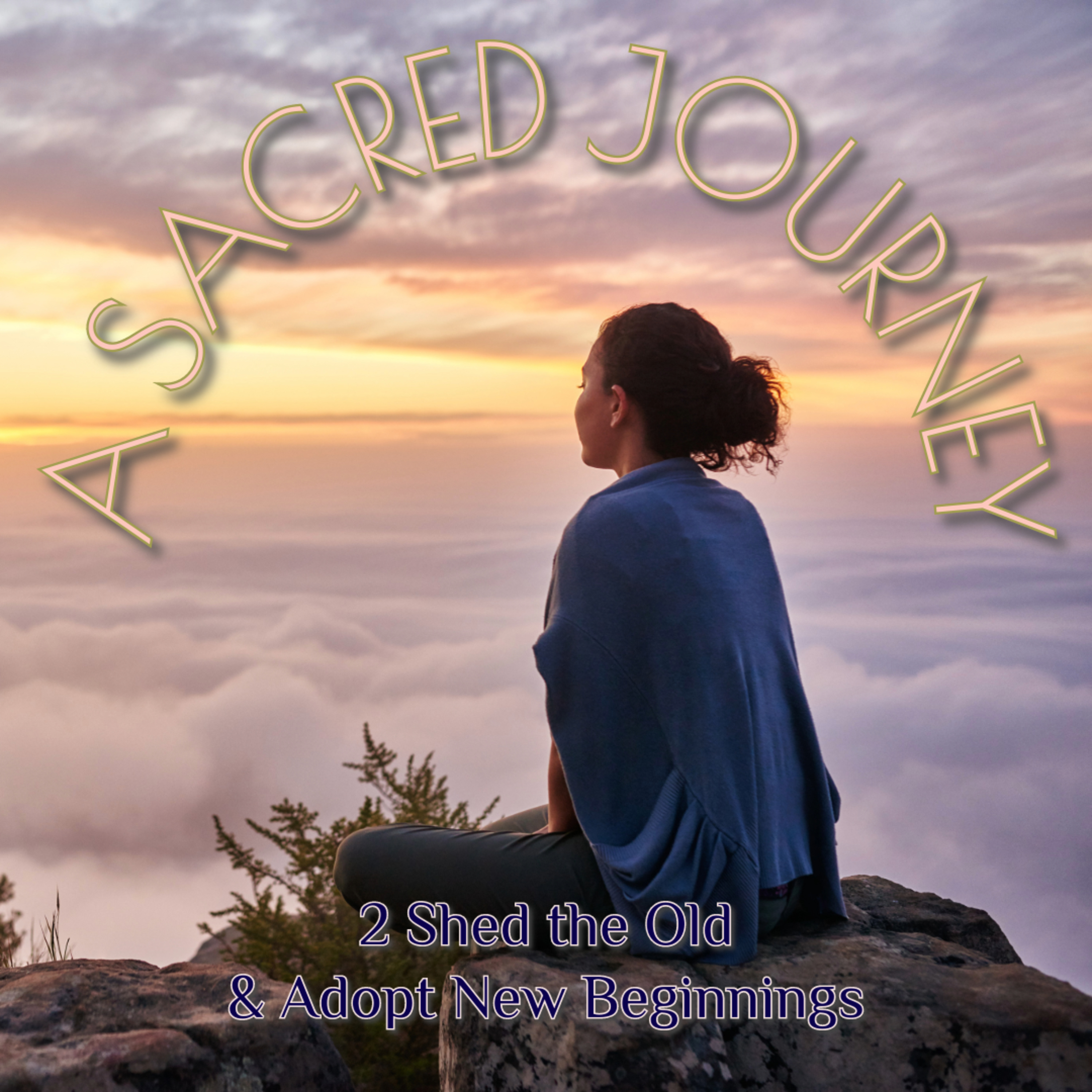 2 Shed the Old and Adopt New Beginnings episode artwork