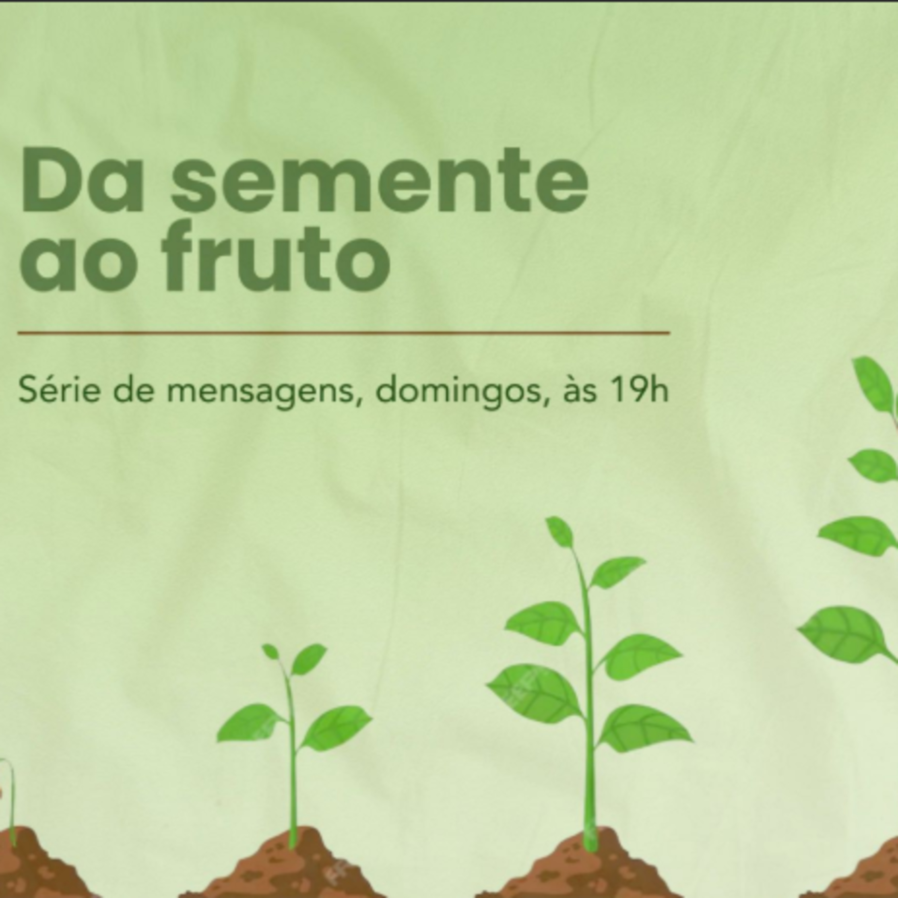Da semente ao fruto | Para frutificar é preciso crescer episode artwork