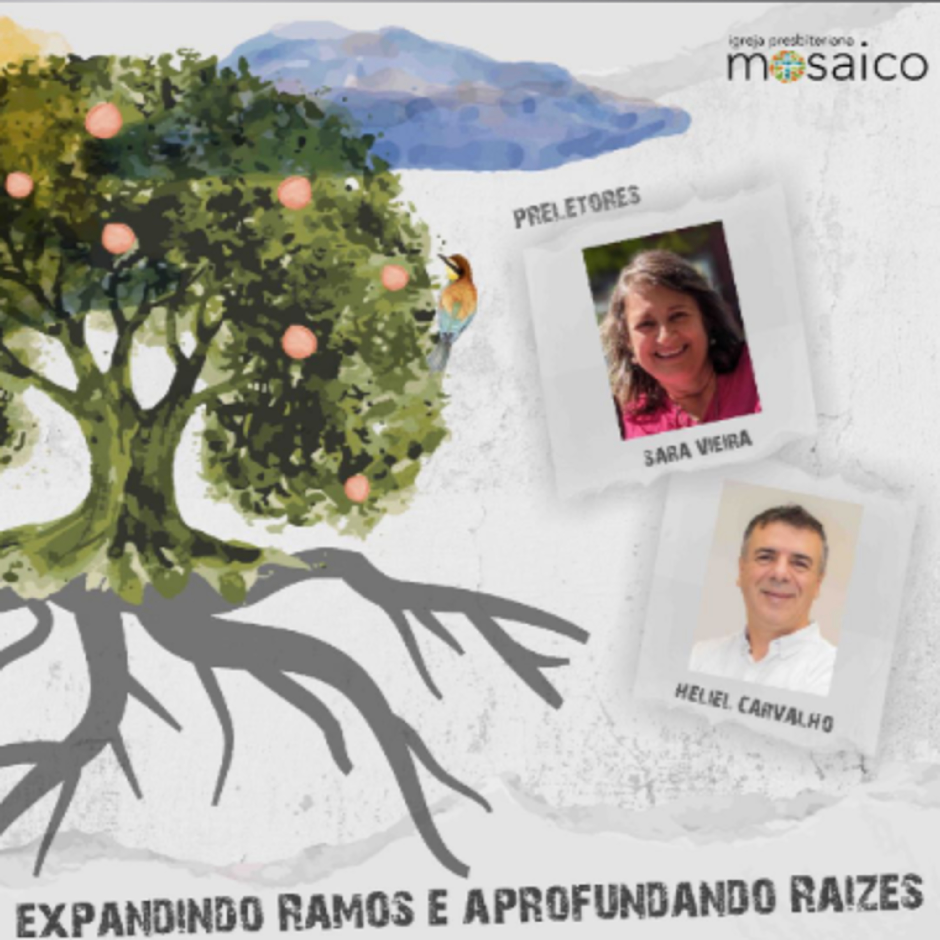 Expandindo Ramos e Aprofundando Raizes [4] - Sara Vieira episode artwork