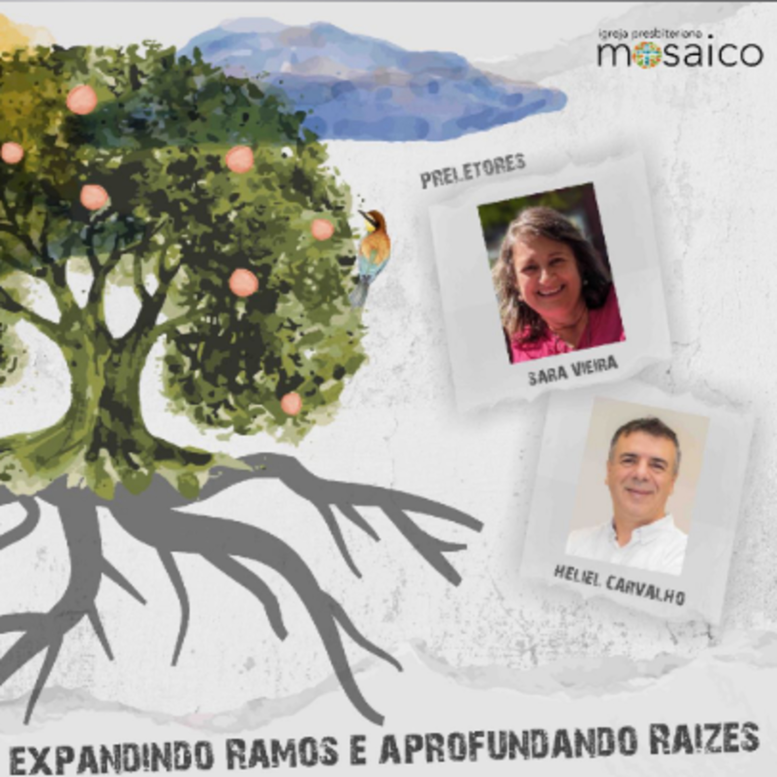 Expandido Ramos e Aprofundando Raizes [5] - Sara Vieira episode artwork